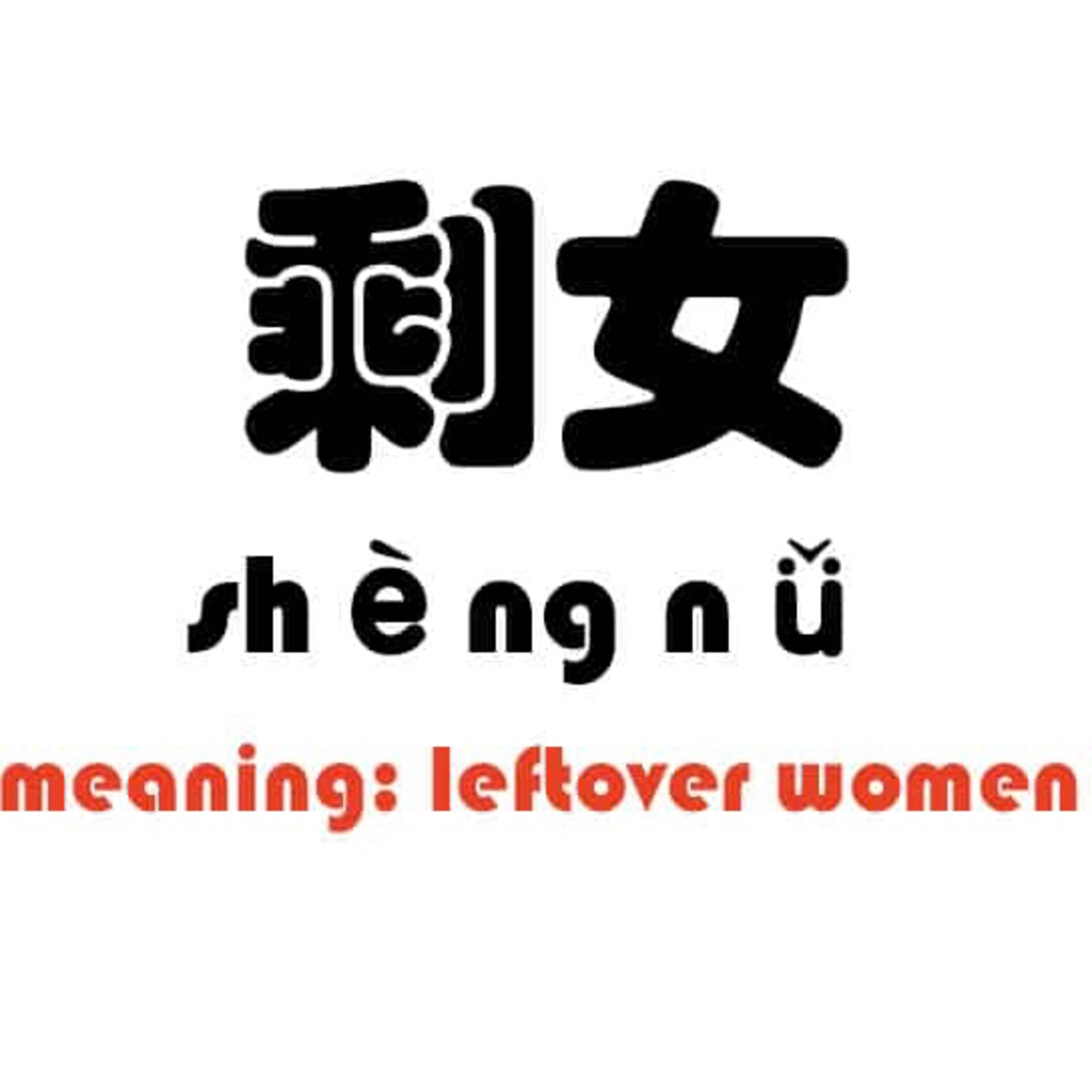 Chinese “leftover” women proud of being single  episode artwork
