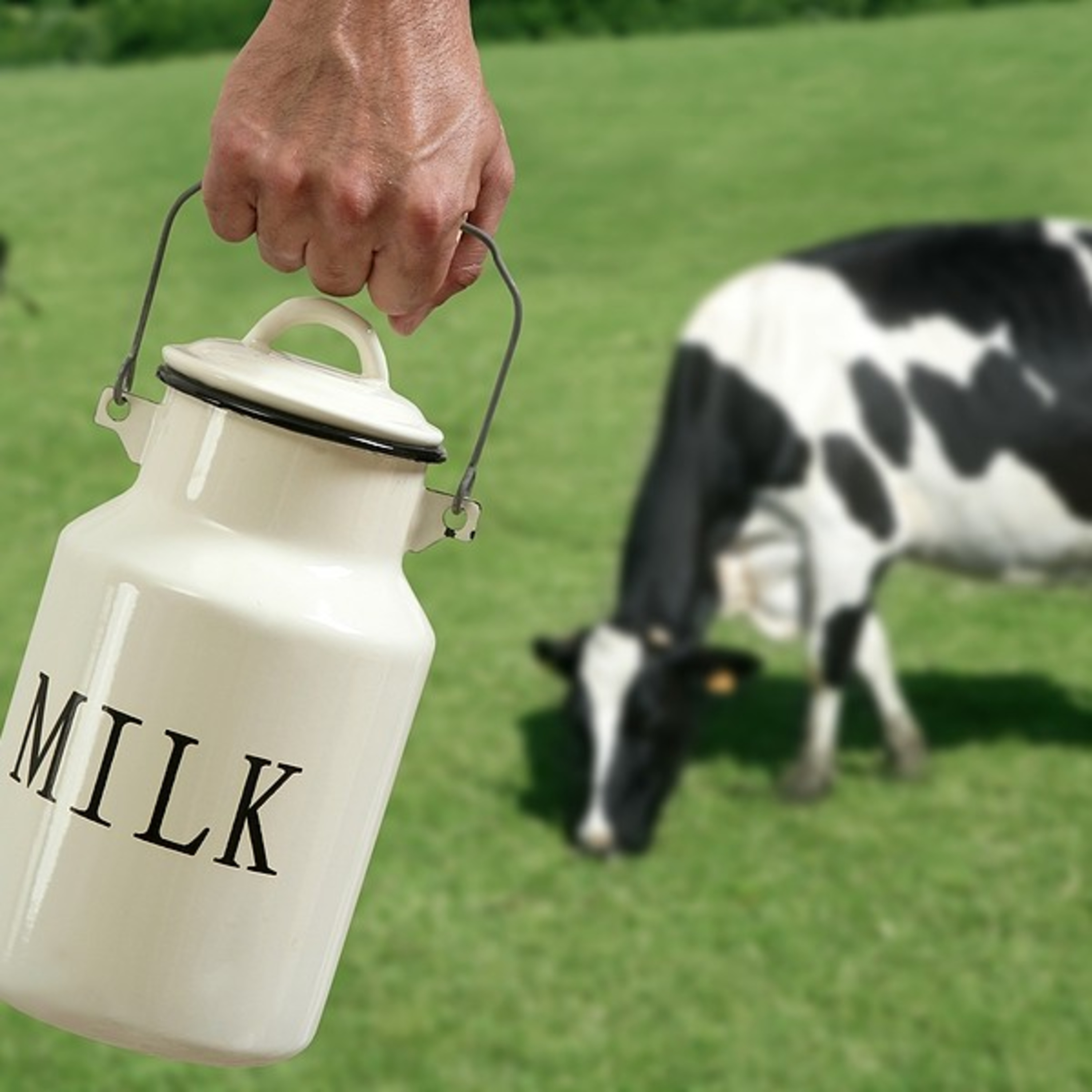 Episode 36 | Milk Me episode artwork