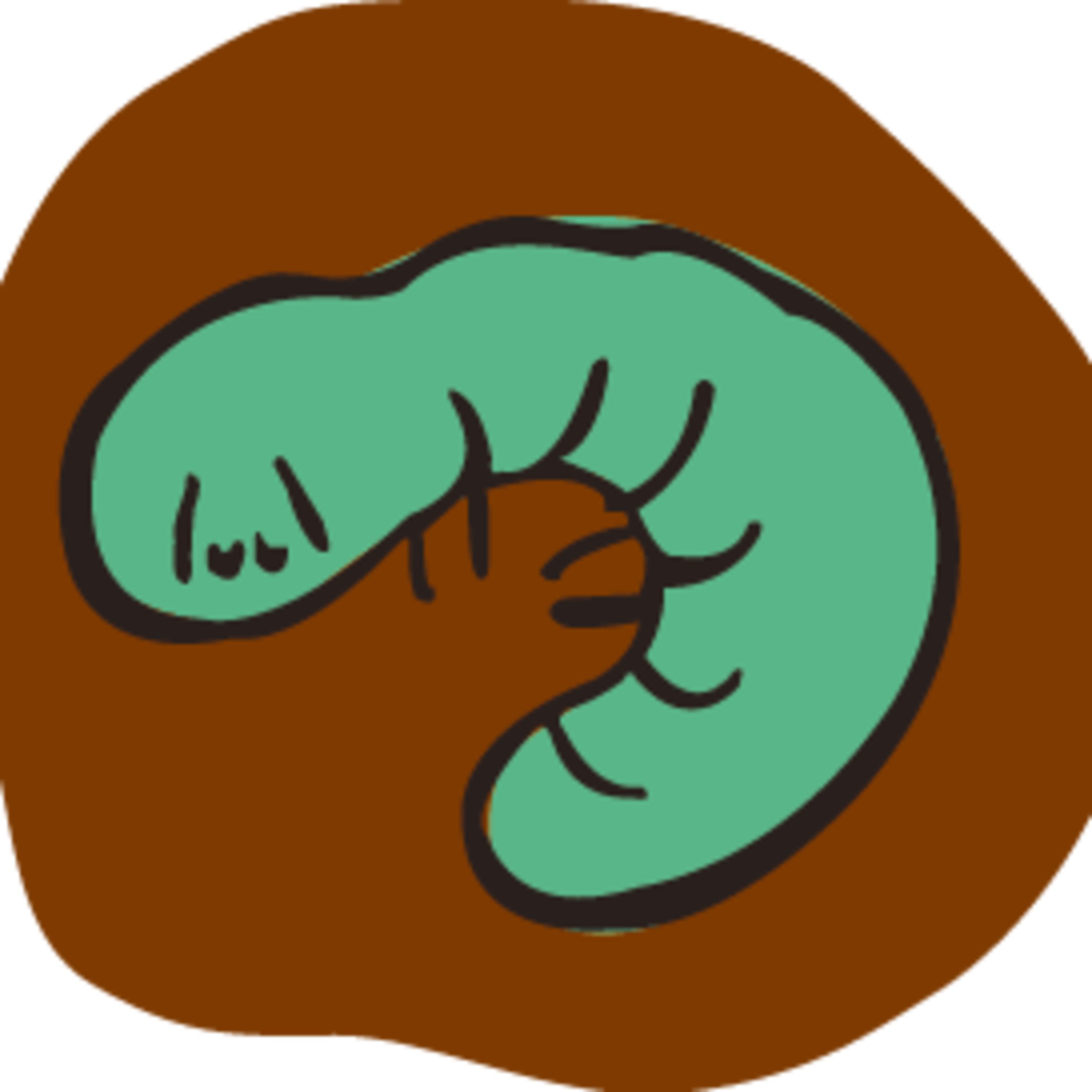 ラジオ「森のレッスン」