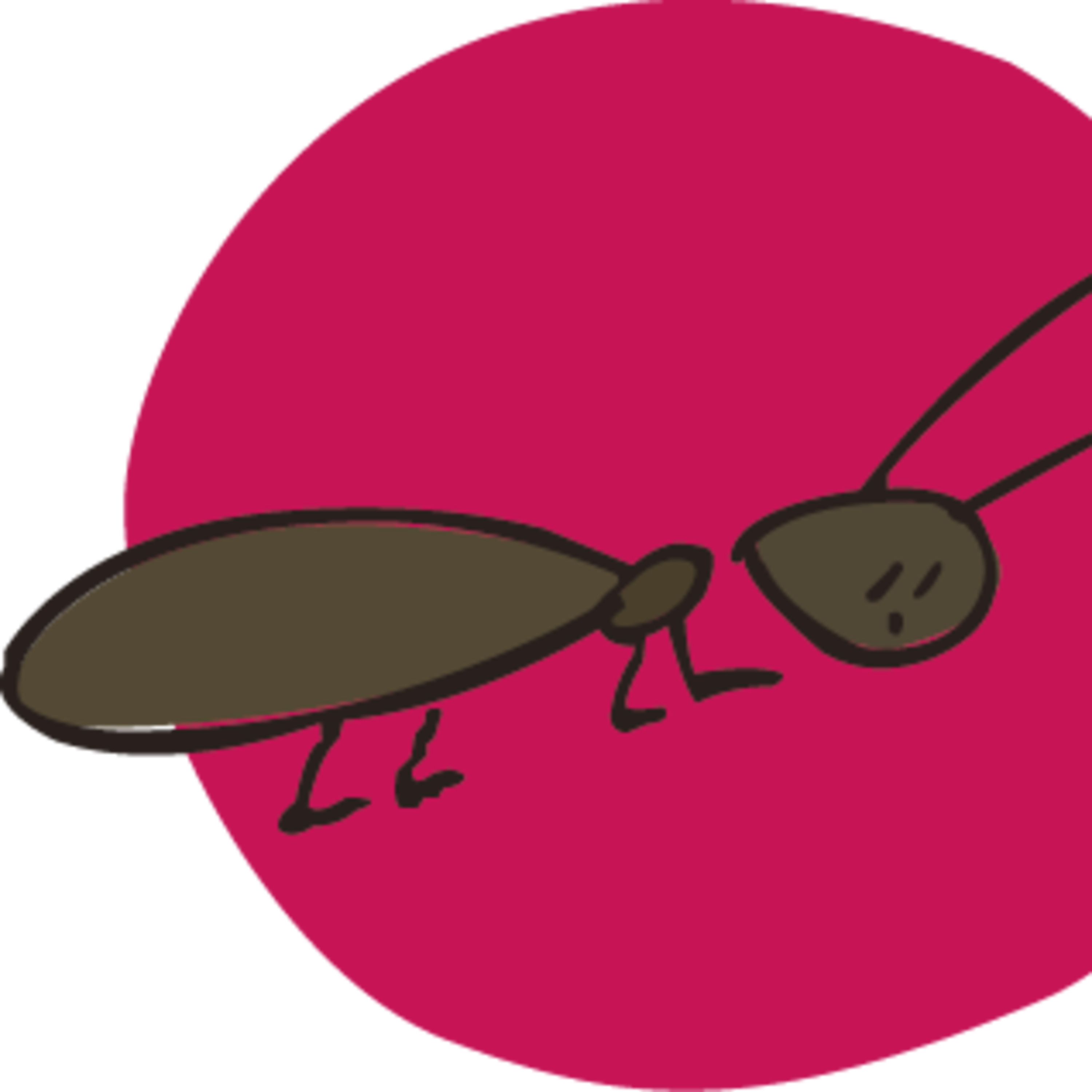 ラジオ「森のレッスン」