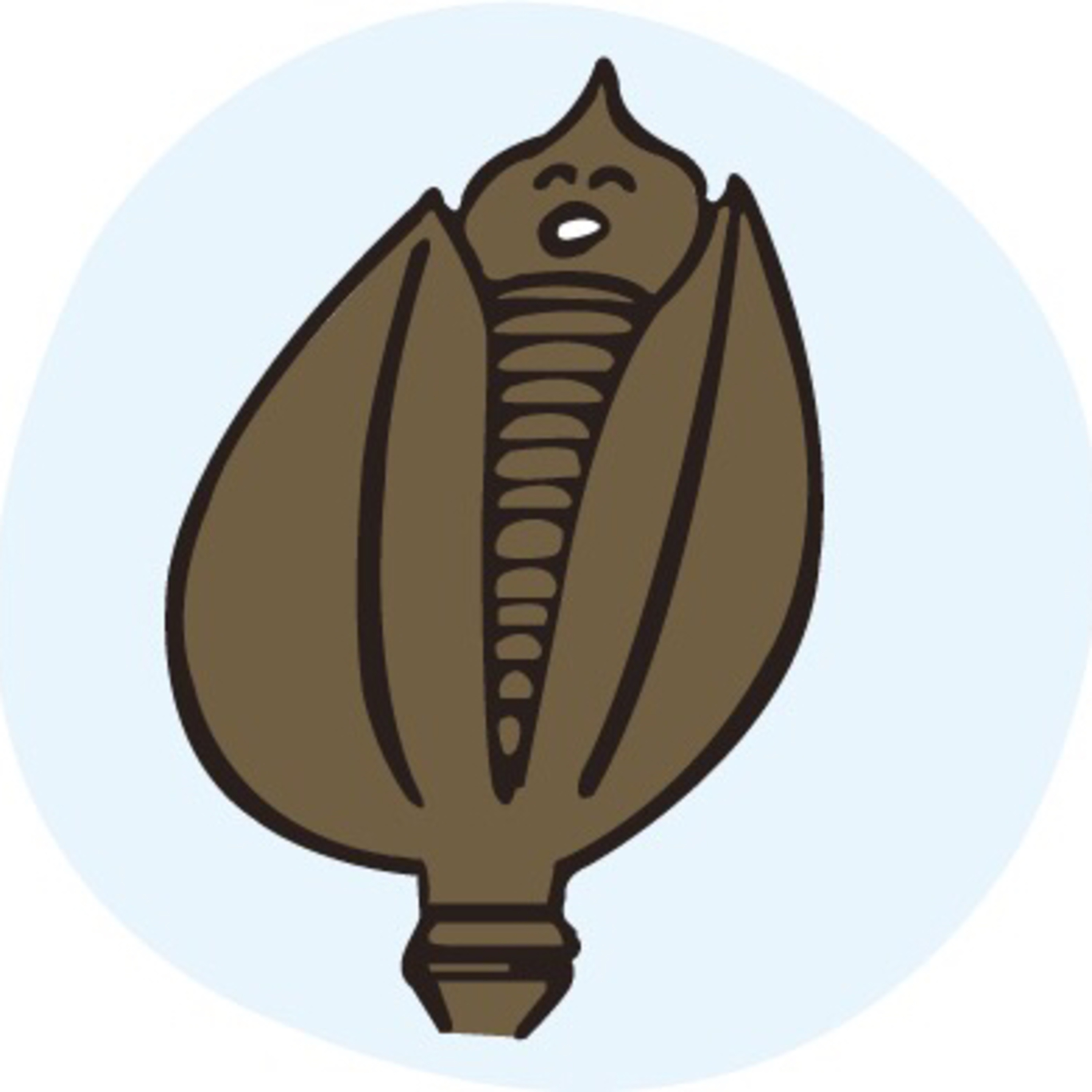 ラジオ「森のレッスン」