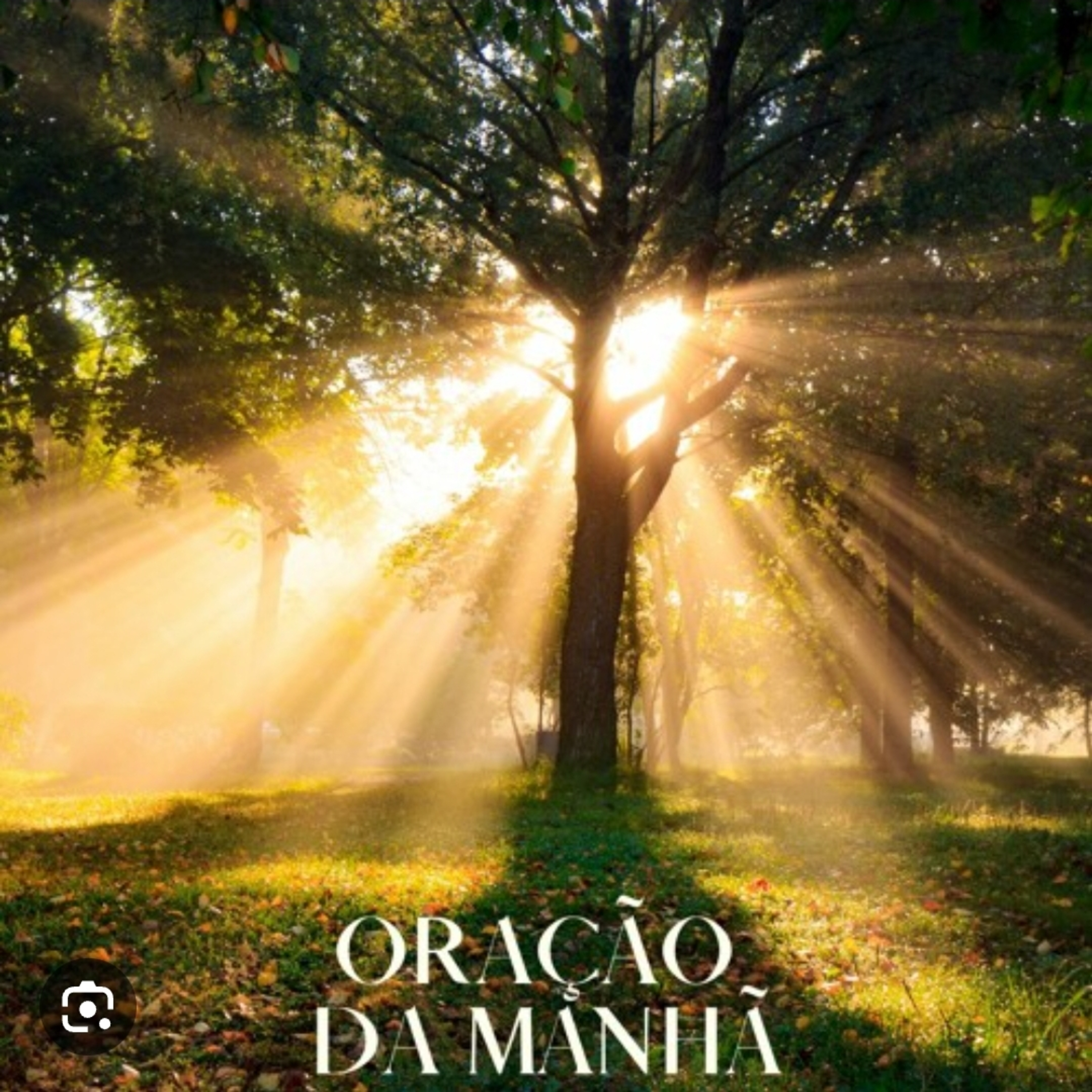 Oração da manhã  episode artwork