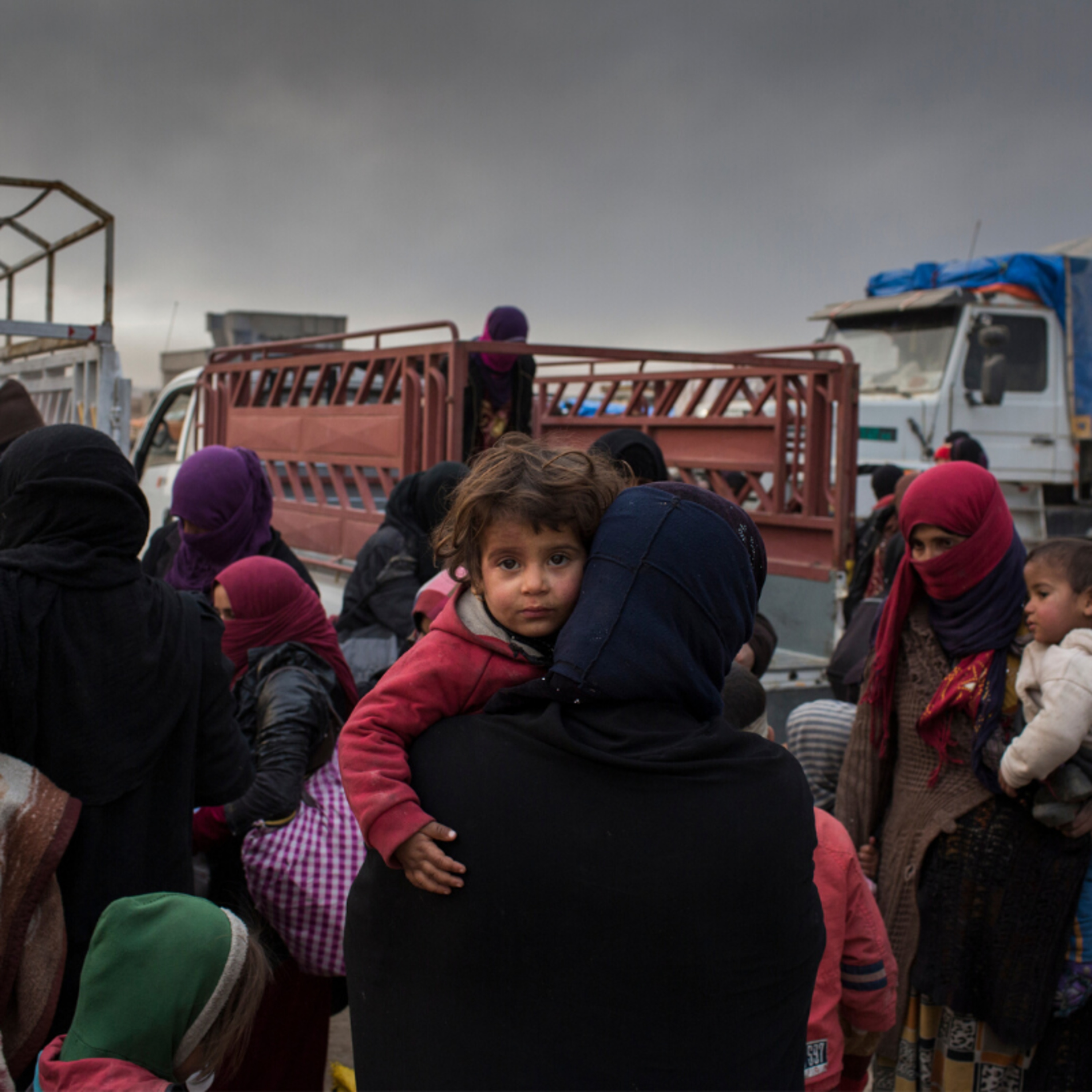 Stories of Iraqi Refugees  episode artwork