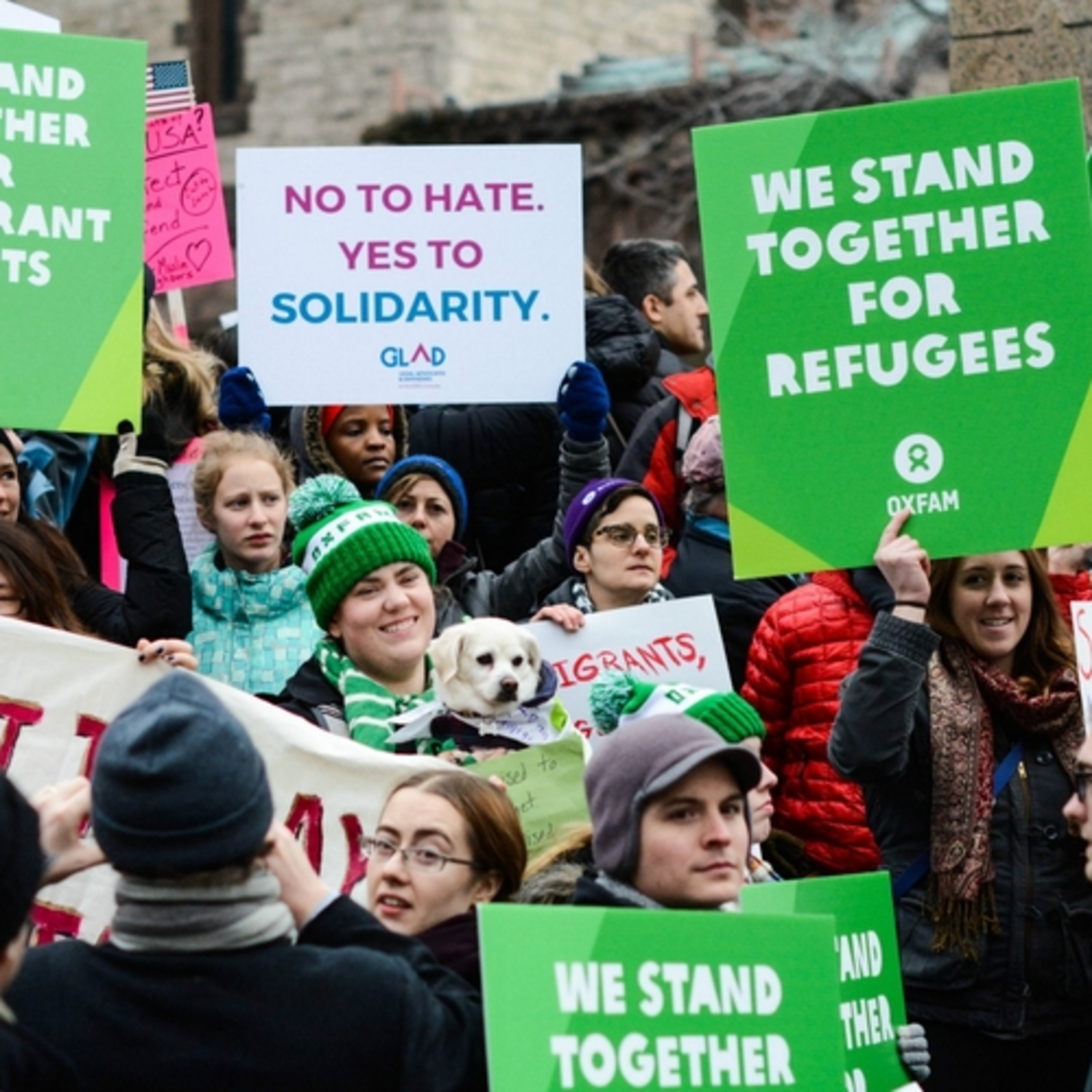 The Flaws in our Refugee Resettlement Programs  episode artwork
