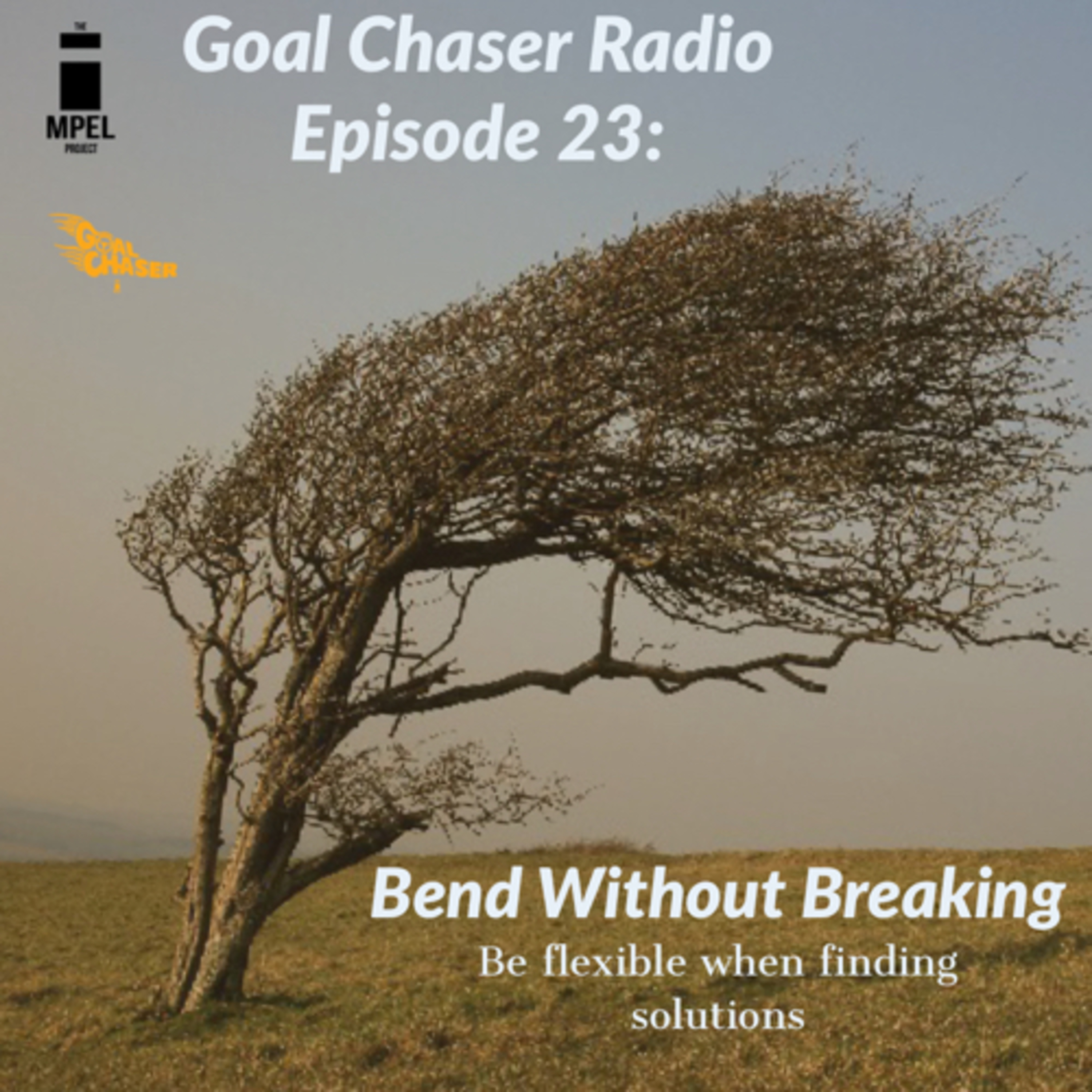 Goal Chaser Radio