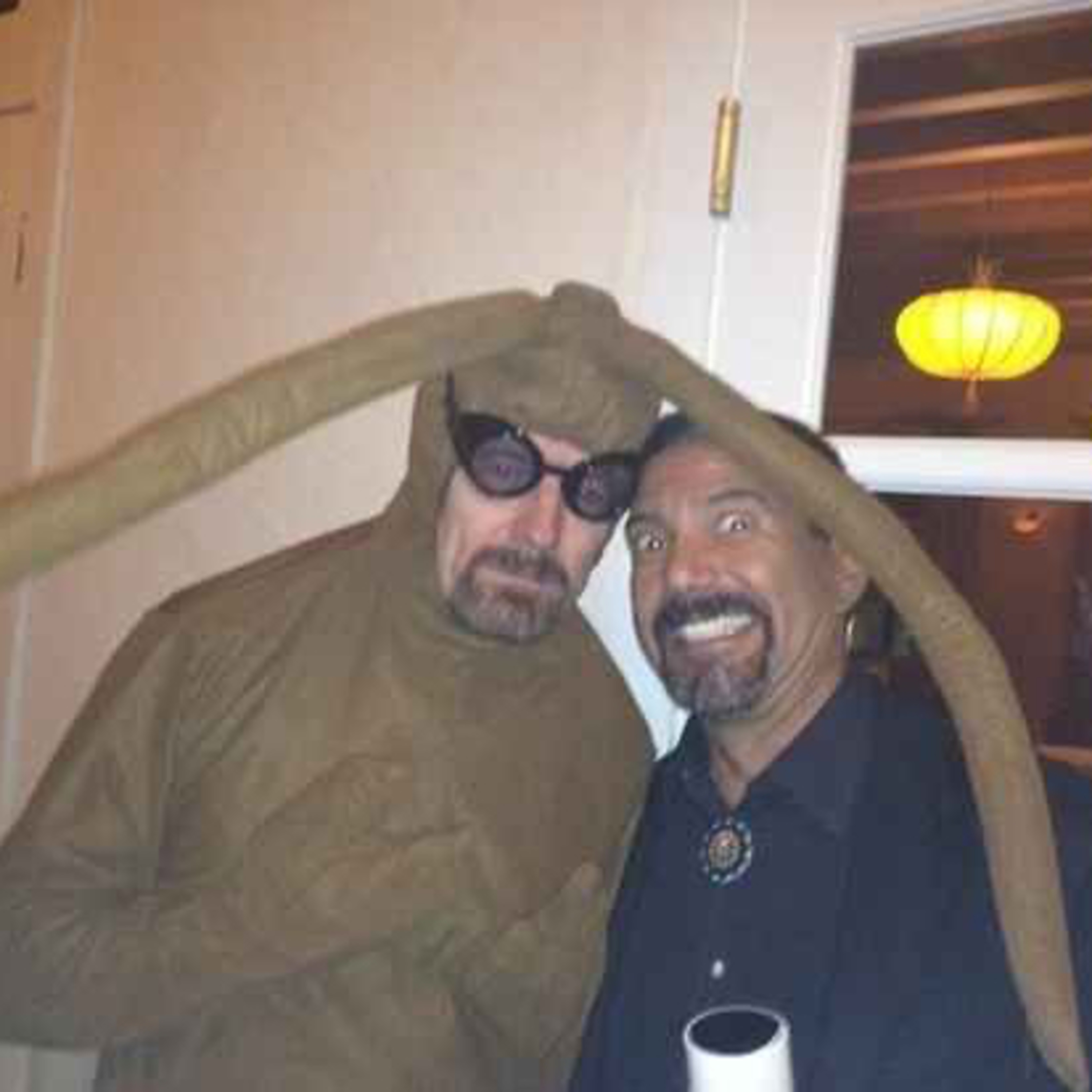 Theoretical Thoughts