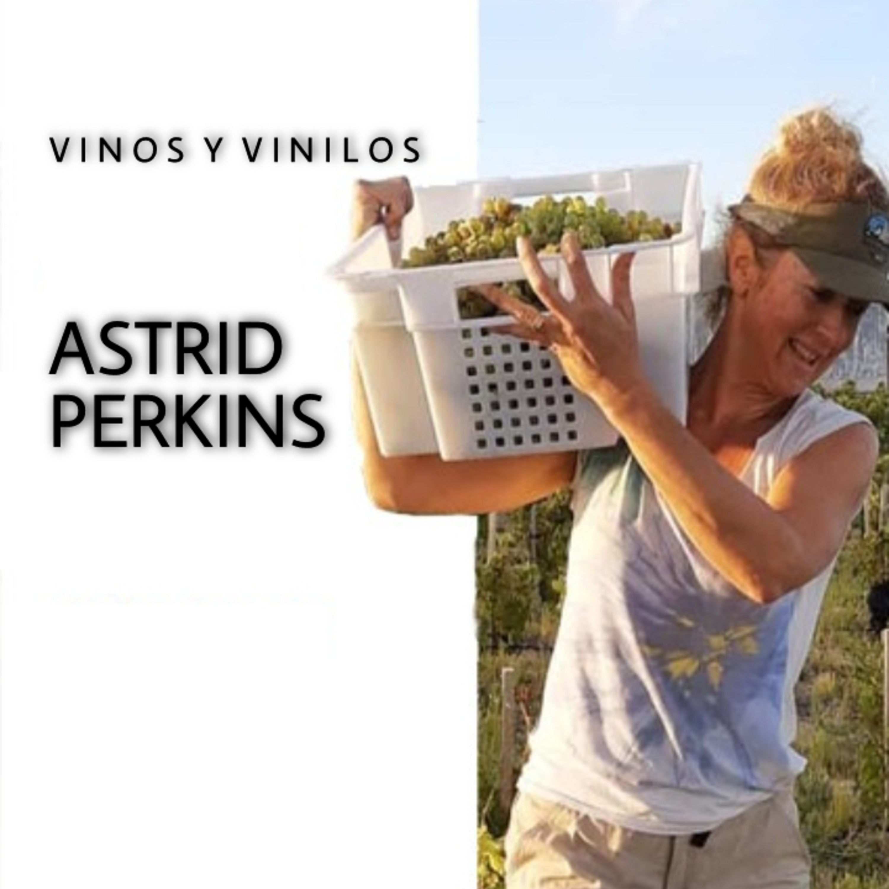 Astrid Perkins - Vinos ultra marinos - Programa #12 episode artwork