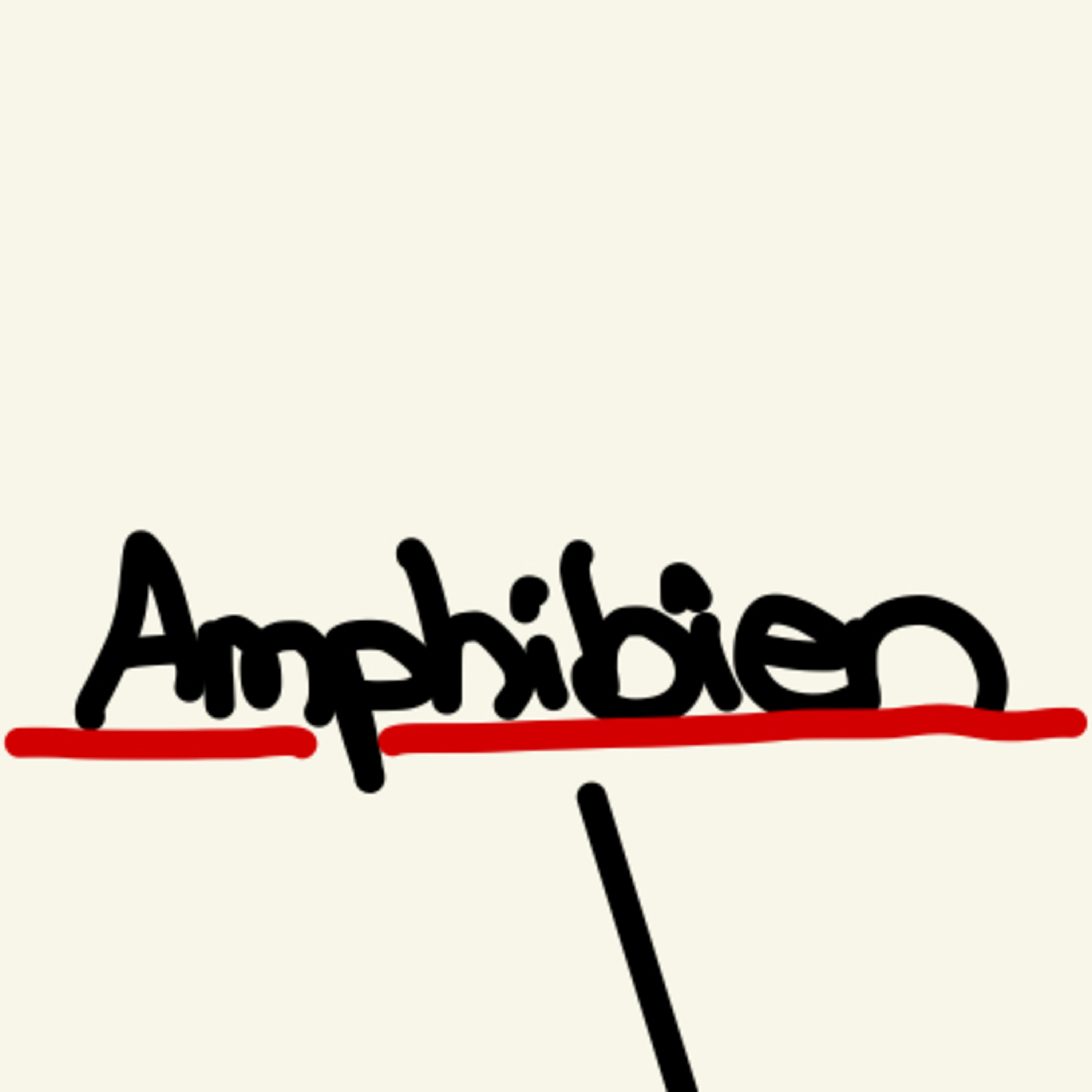 Die Zauberhaut der Amphibien