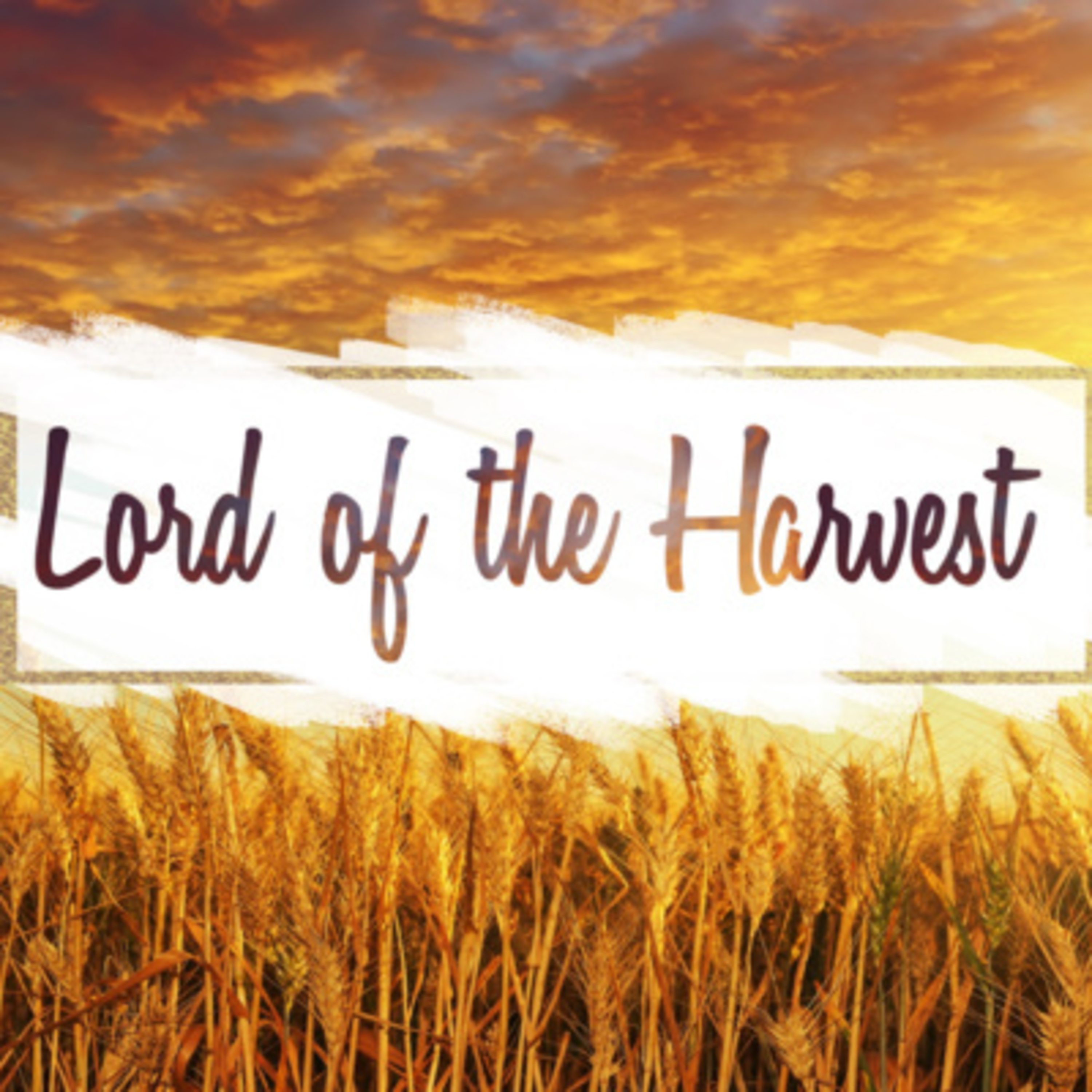 God\'s Word Brings Life