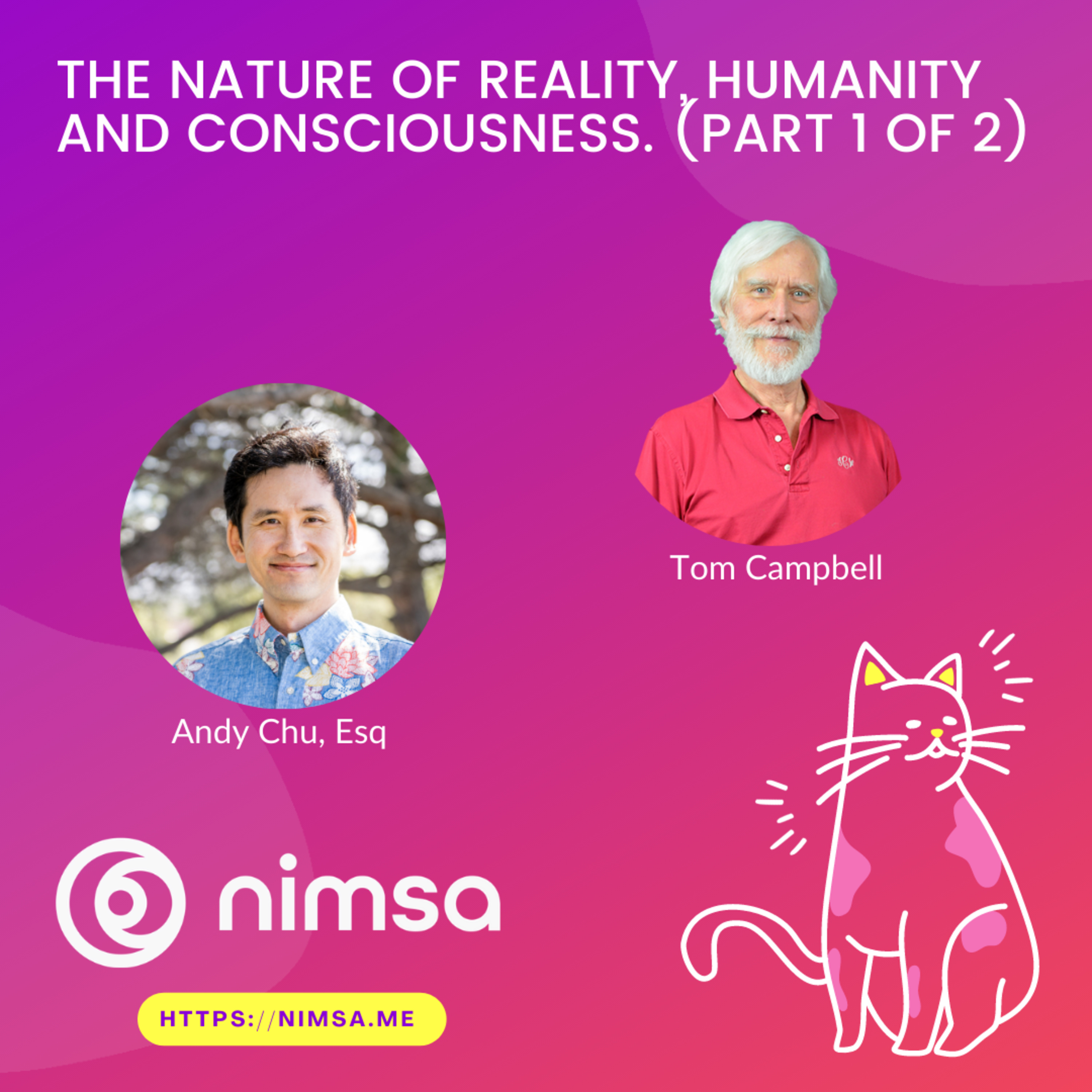 nimsa
