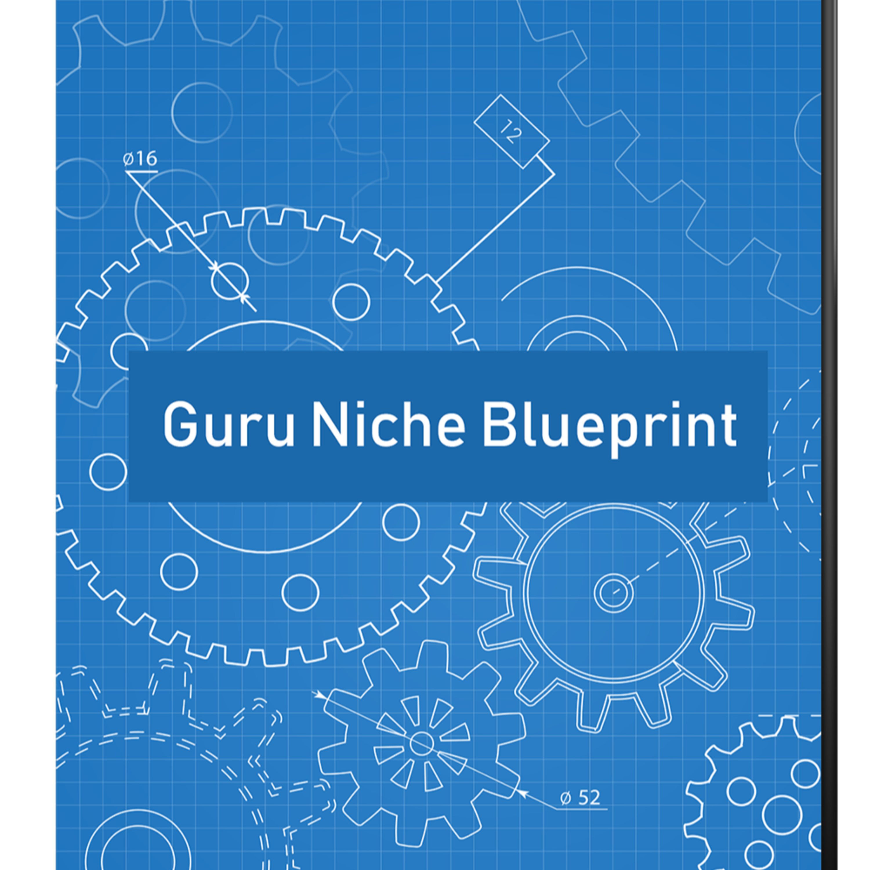 Guru niche plan episode artwork