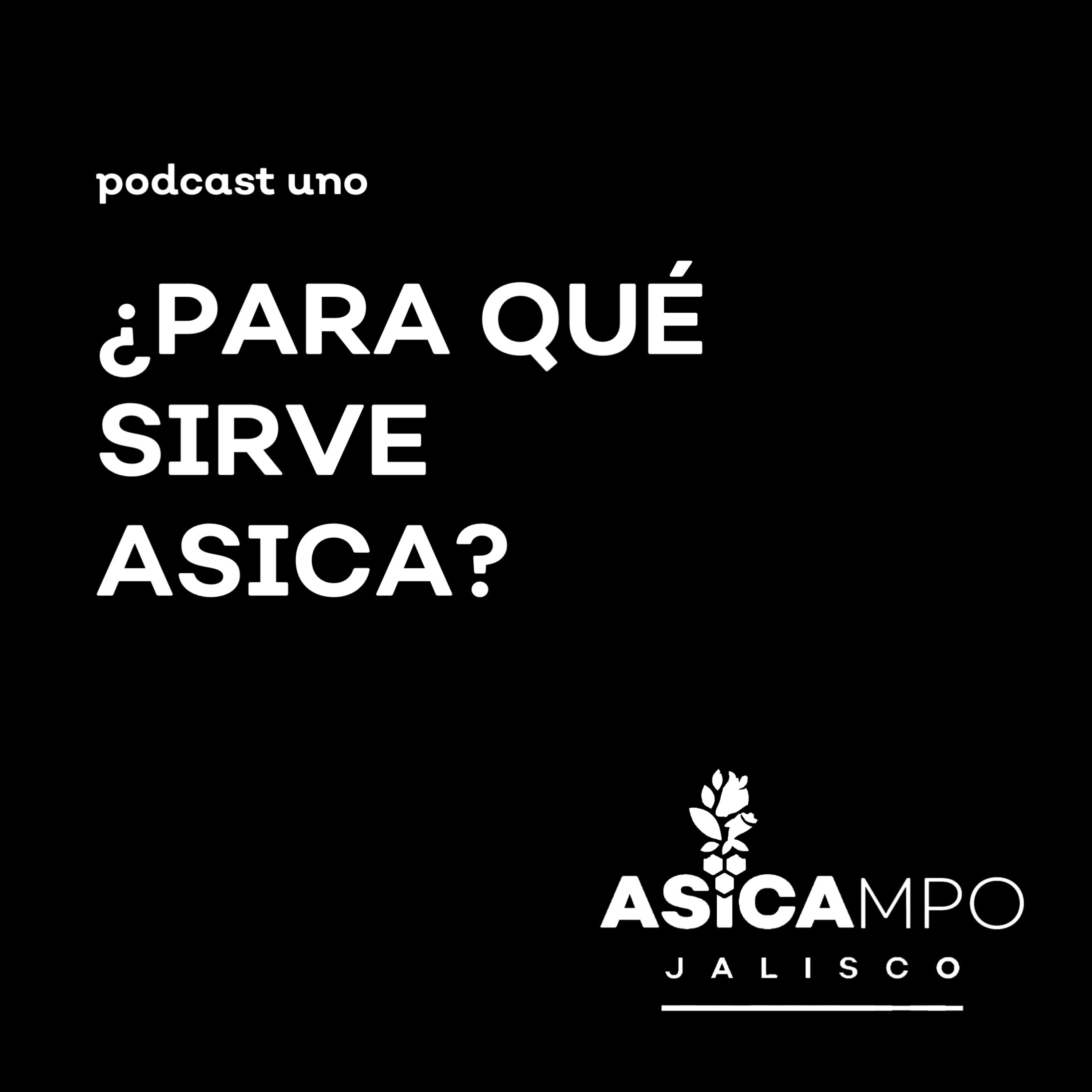 ASICAMPO