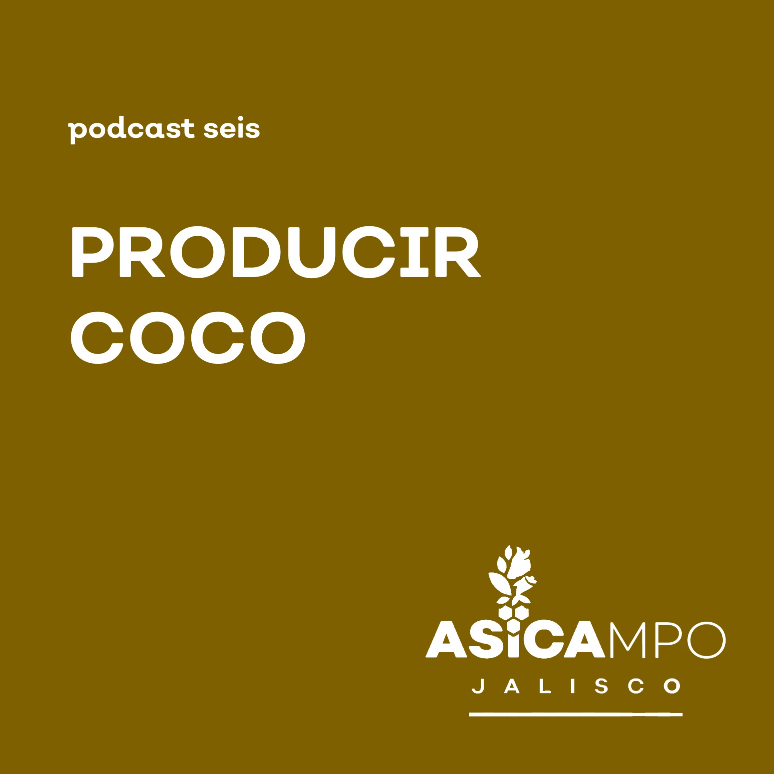 ASICAMPO