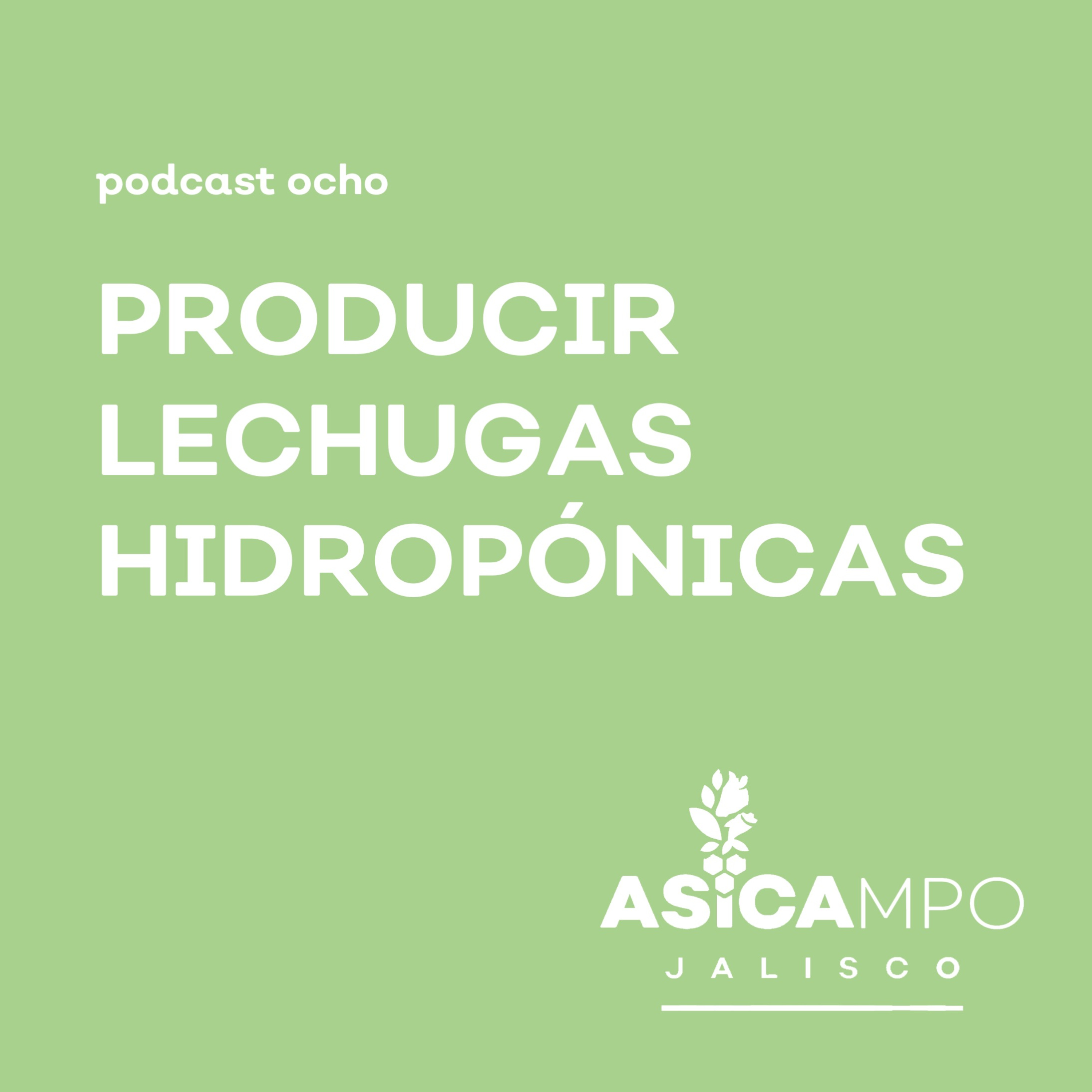 ASICAMPO