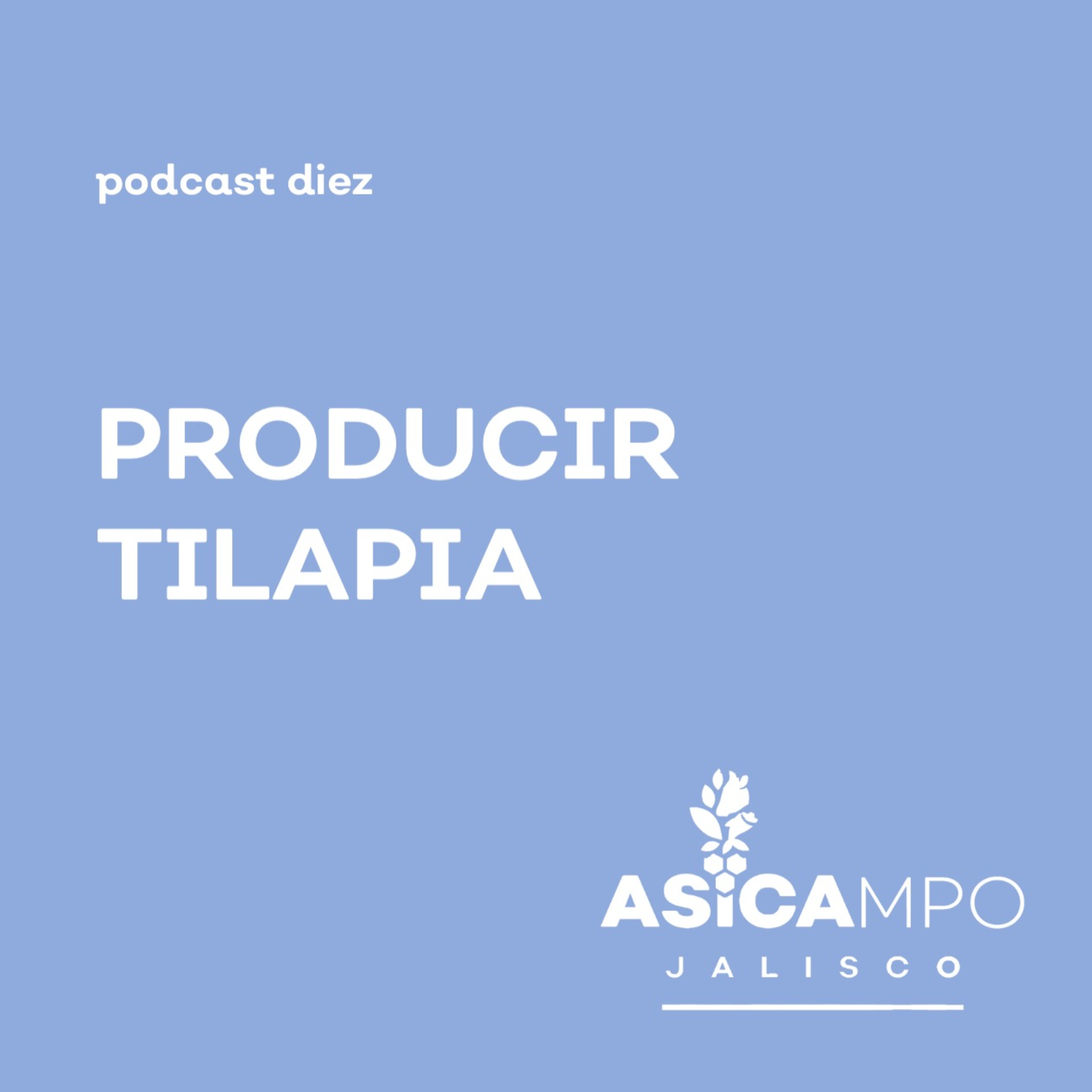 ASICAMPO