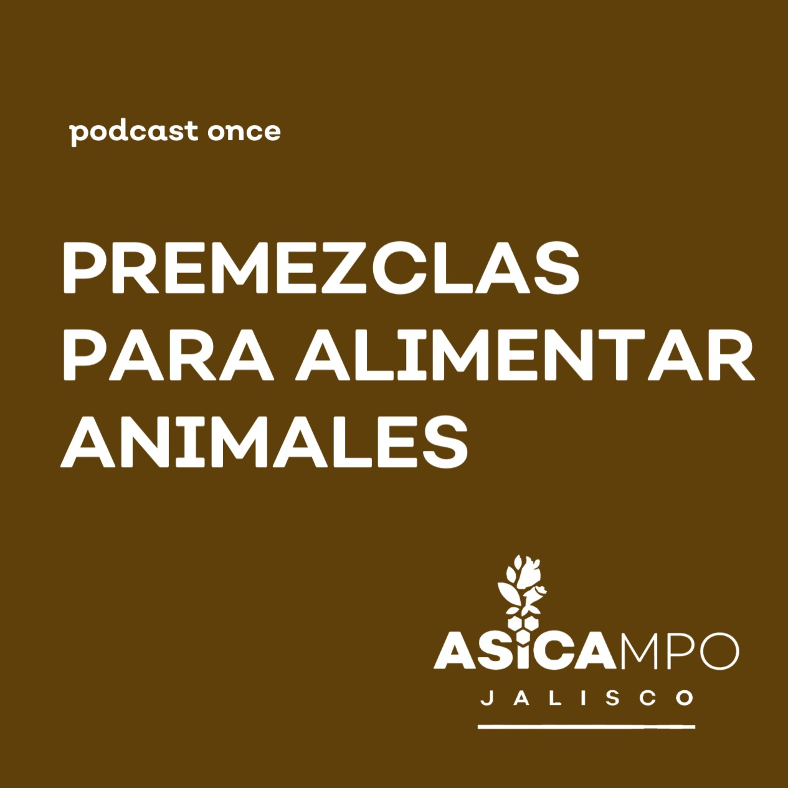 ASICAMPO