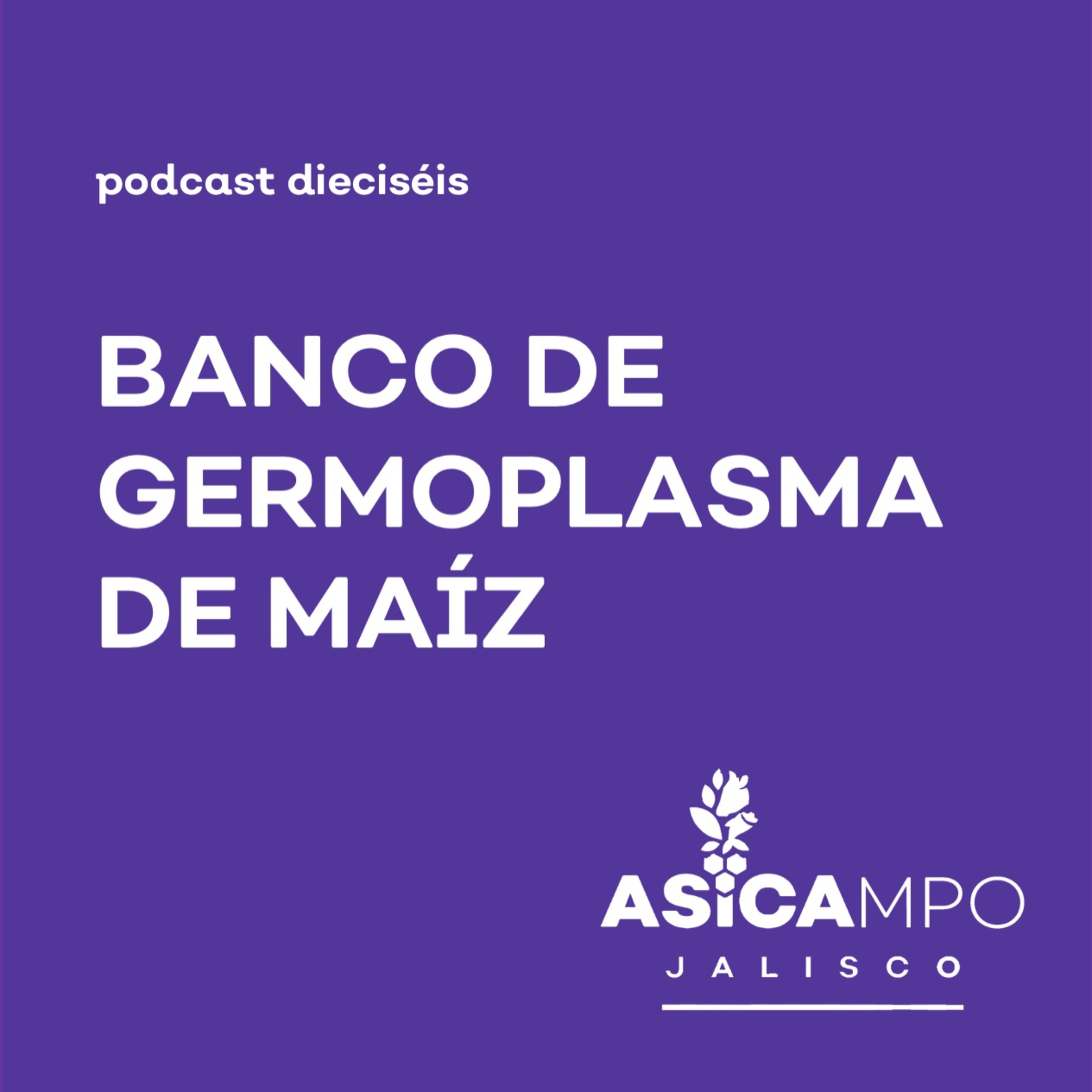 ASICAMPO