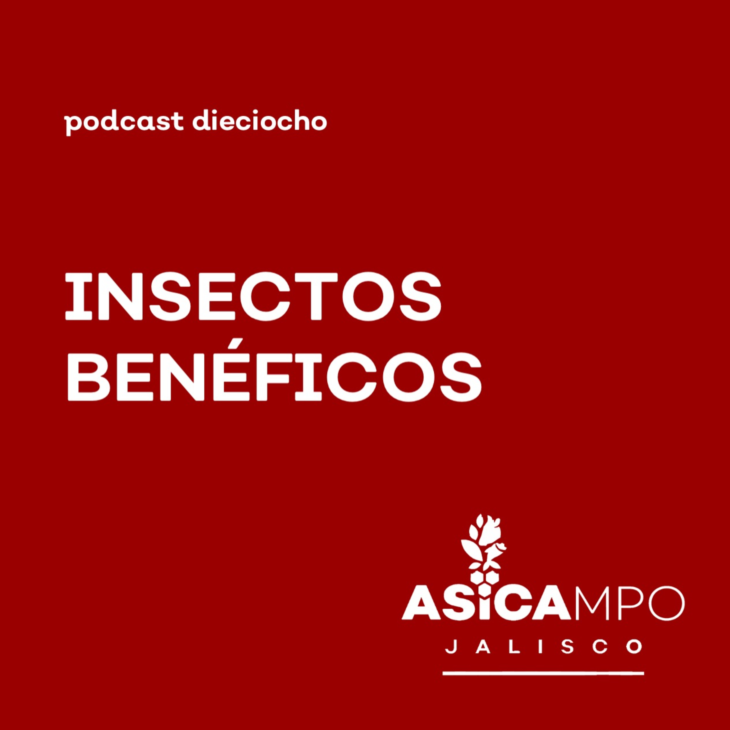 ASICAMPO