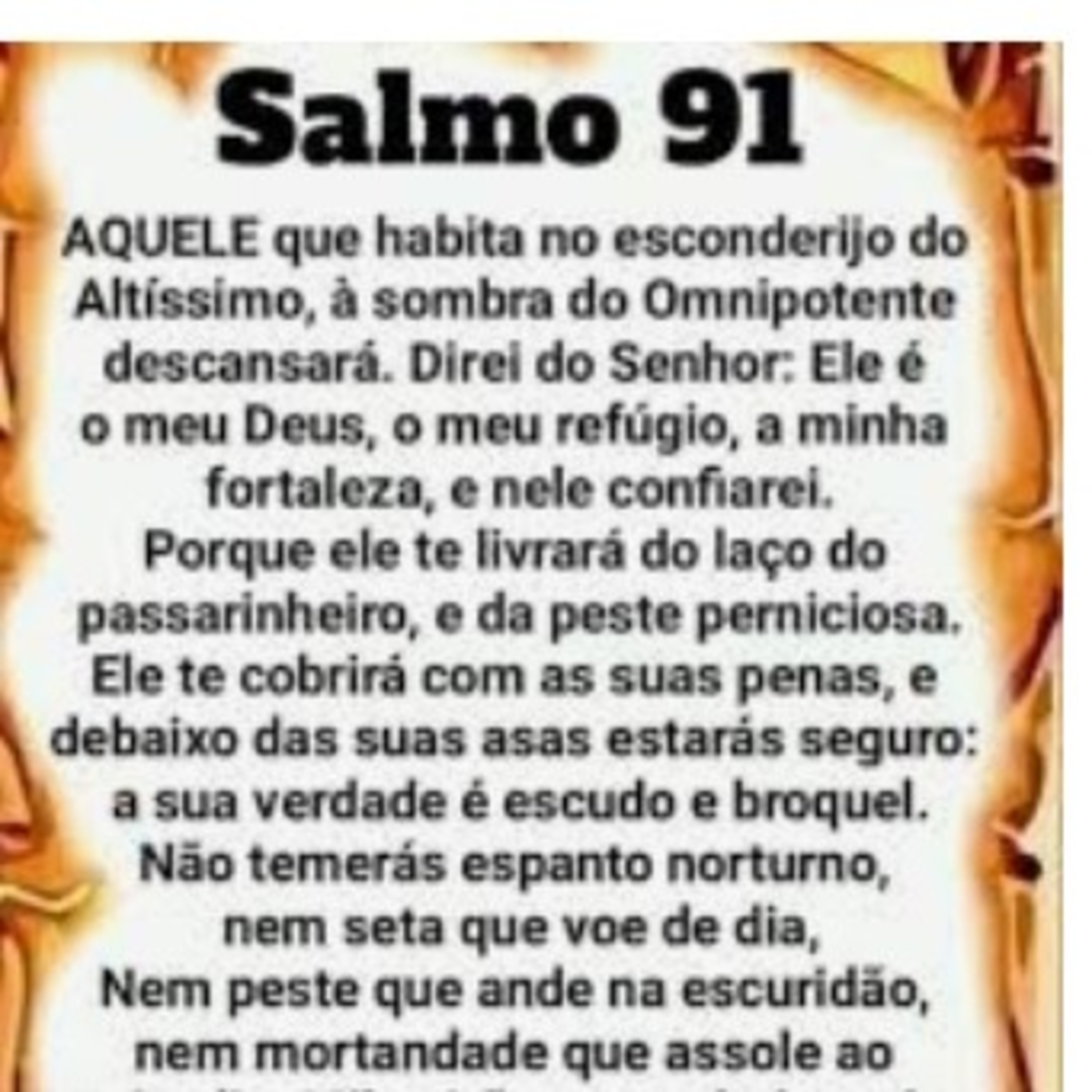 O Meu Pé De Laranja Lima (José Mauro de Vasconcelos)