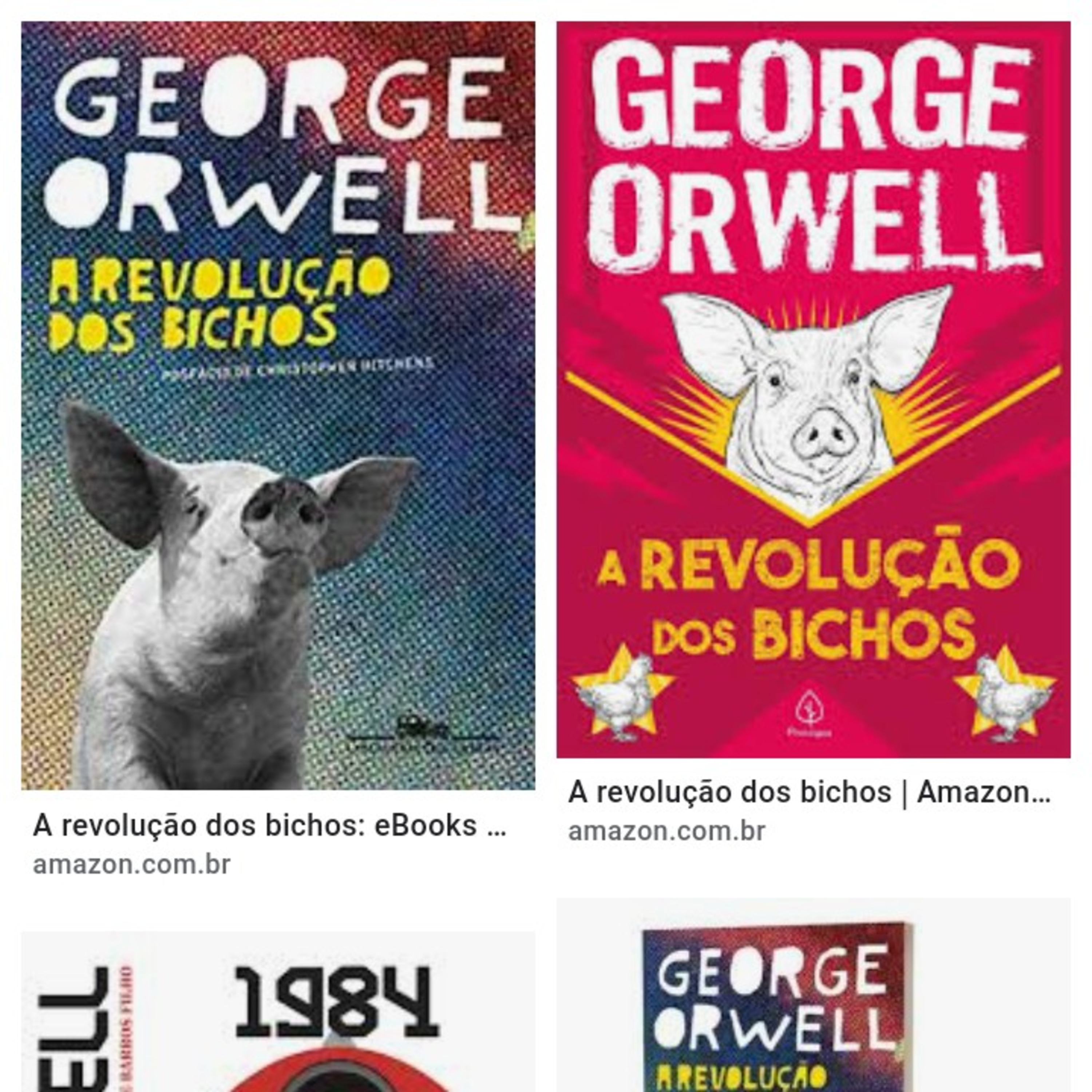O Meu Pé De Laranja Lima (José Mauro de Vasconcelos)