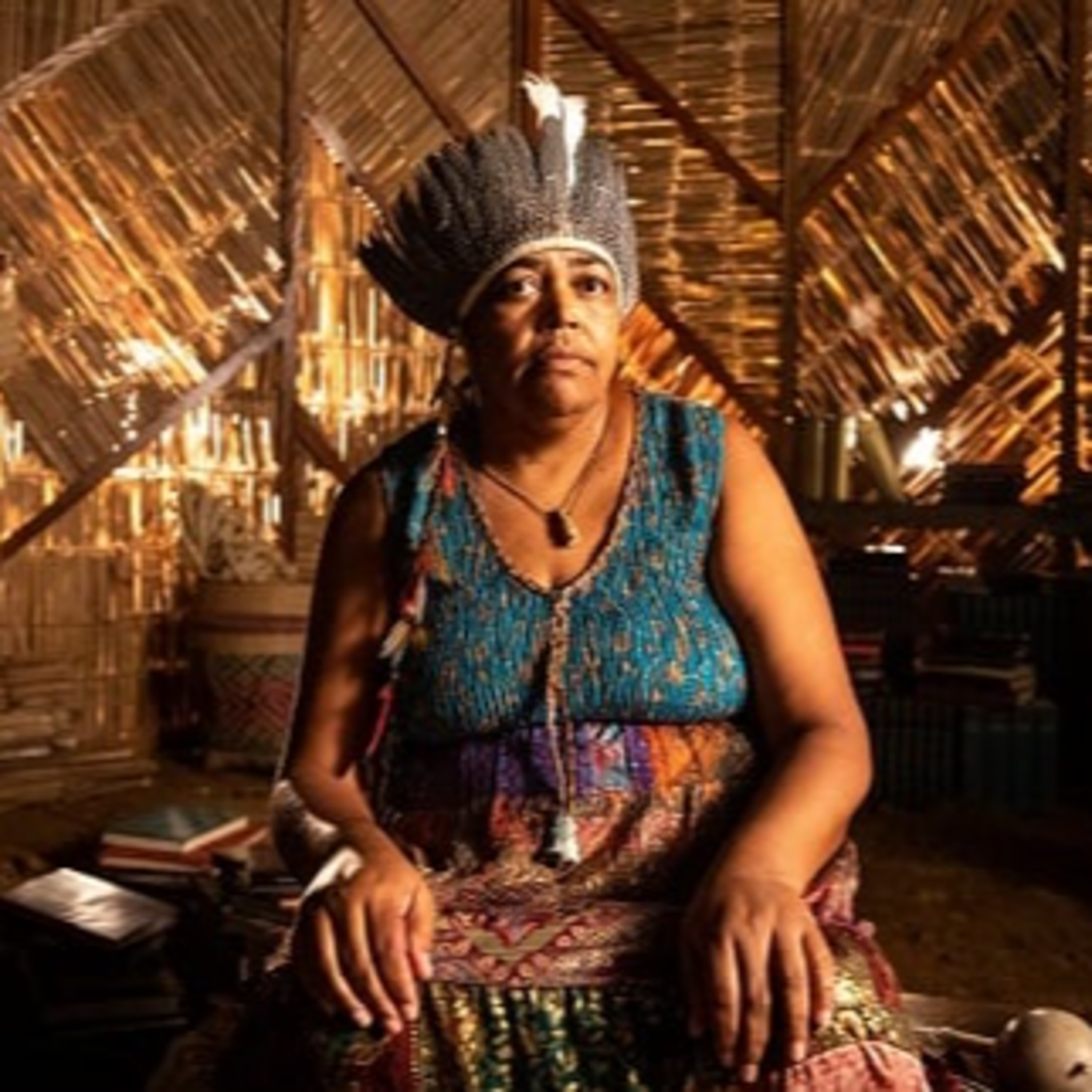 GT Indígenas na História ANPUH Brasil