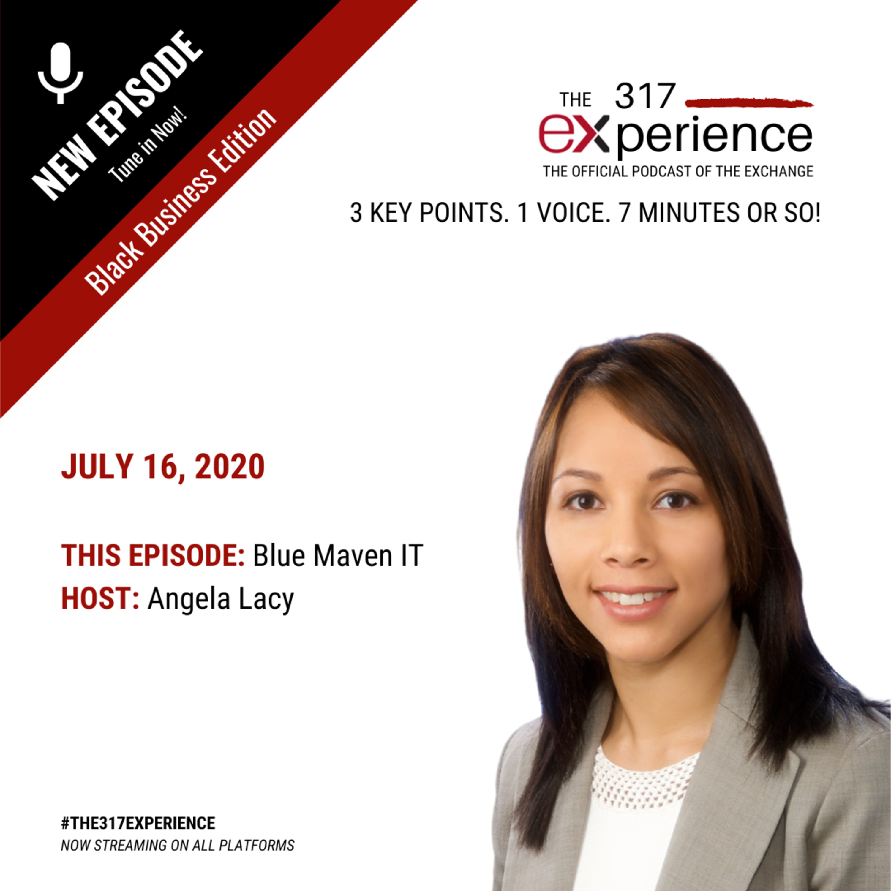 The 317 Experience Blue Maven IT episode artwork
