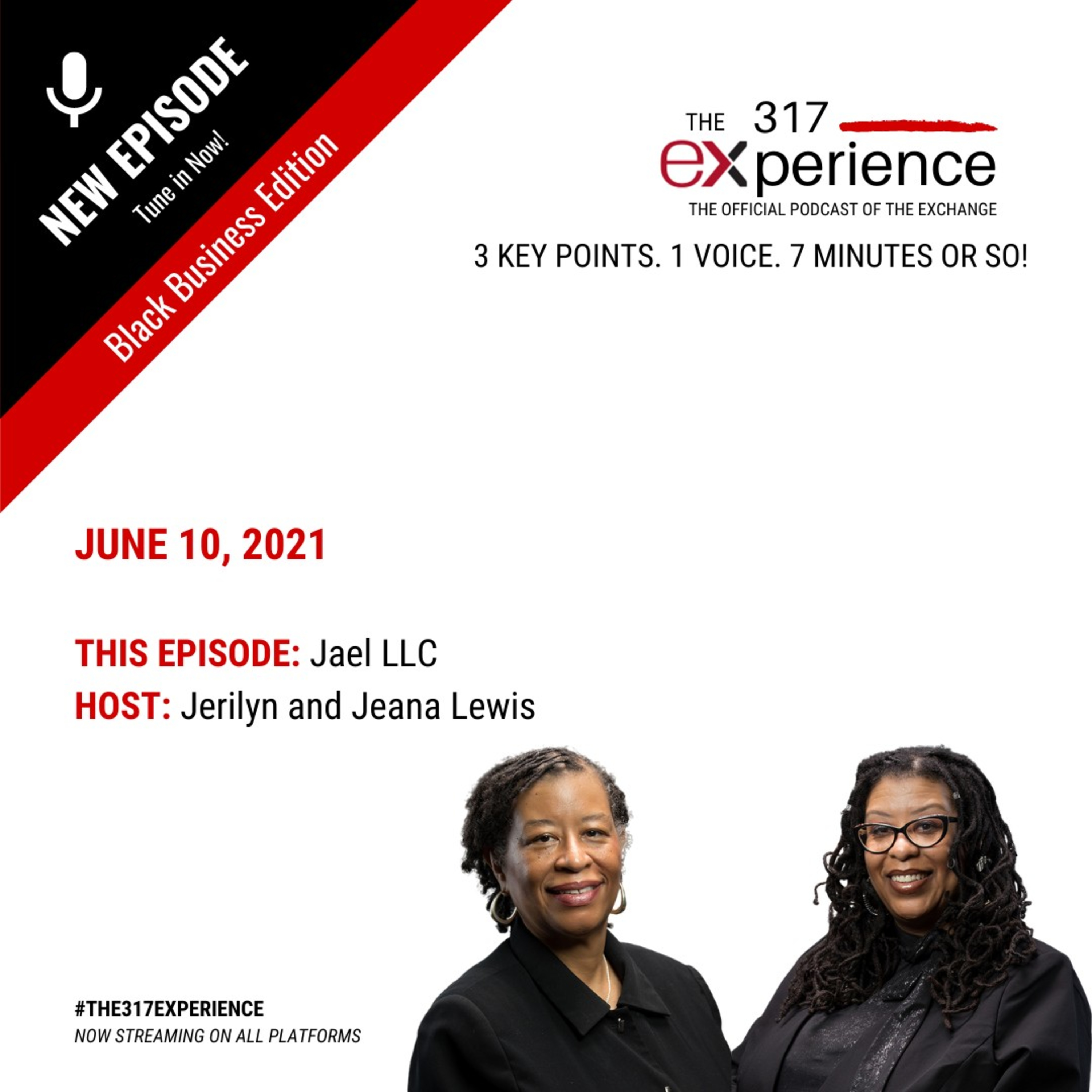 The 317 Experience Jael LLC episode artwork