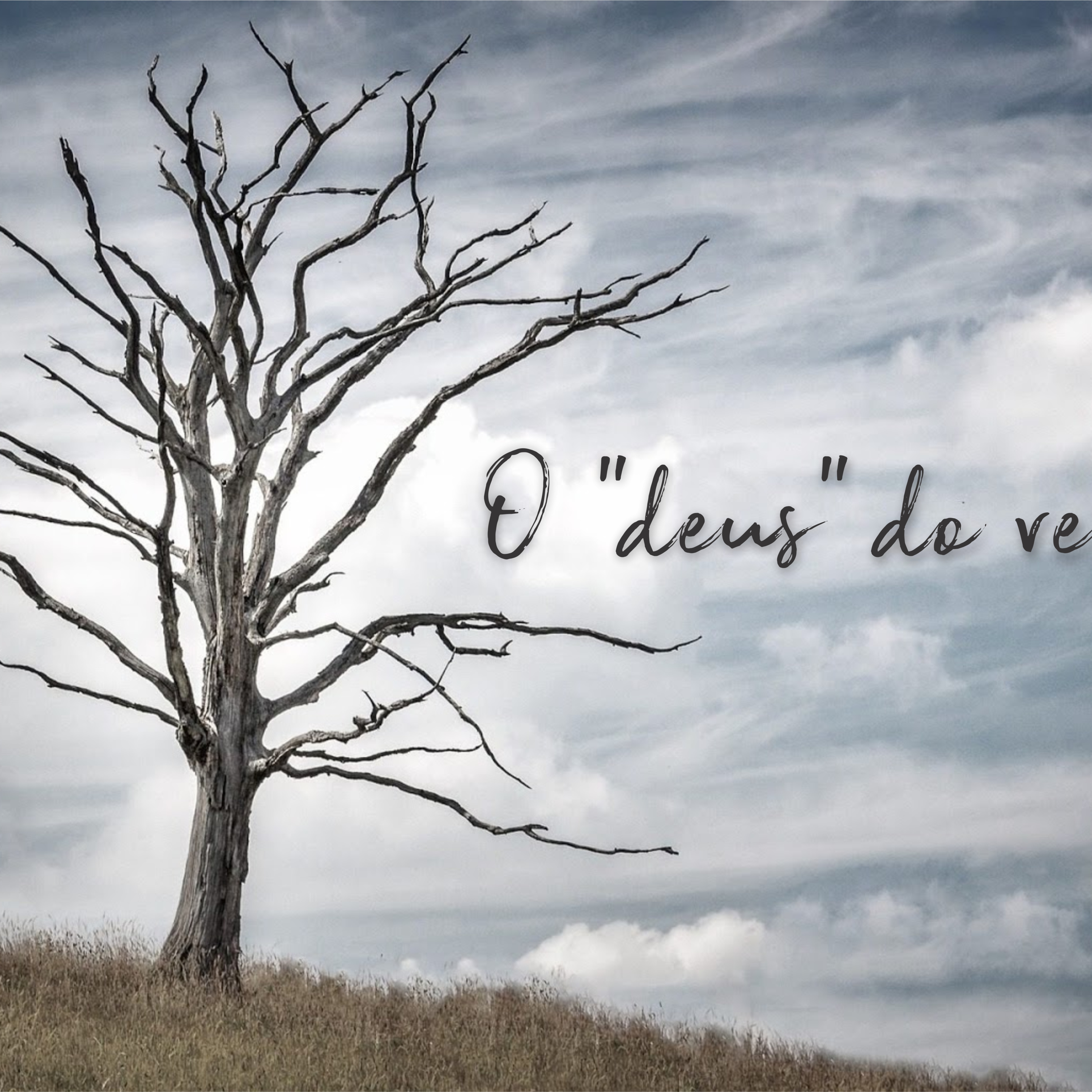 O deus do ventre episode artwork