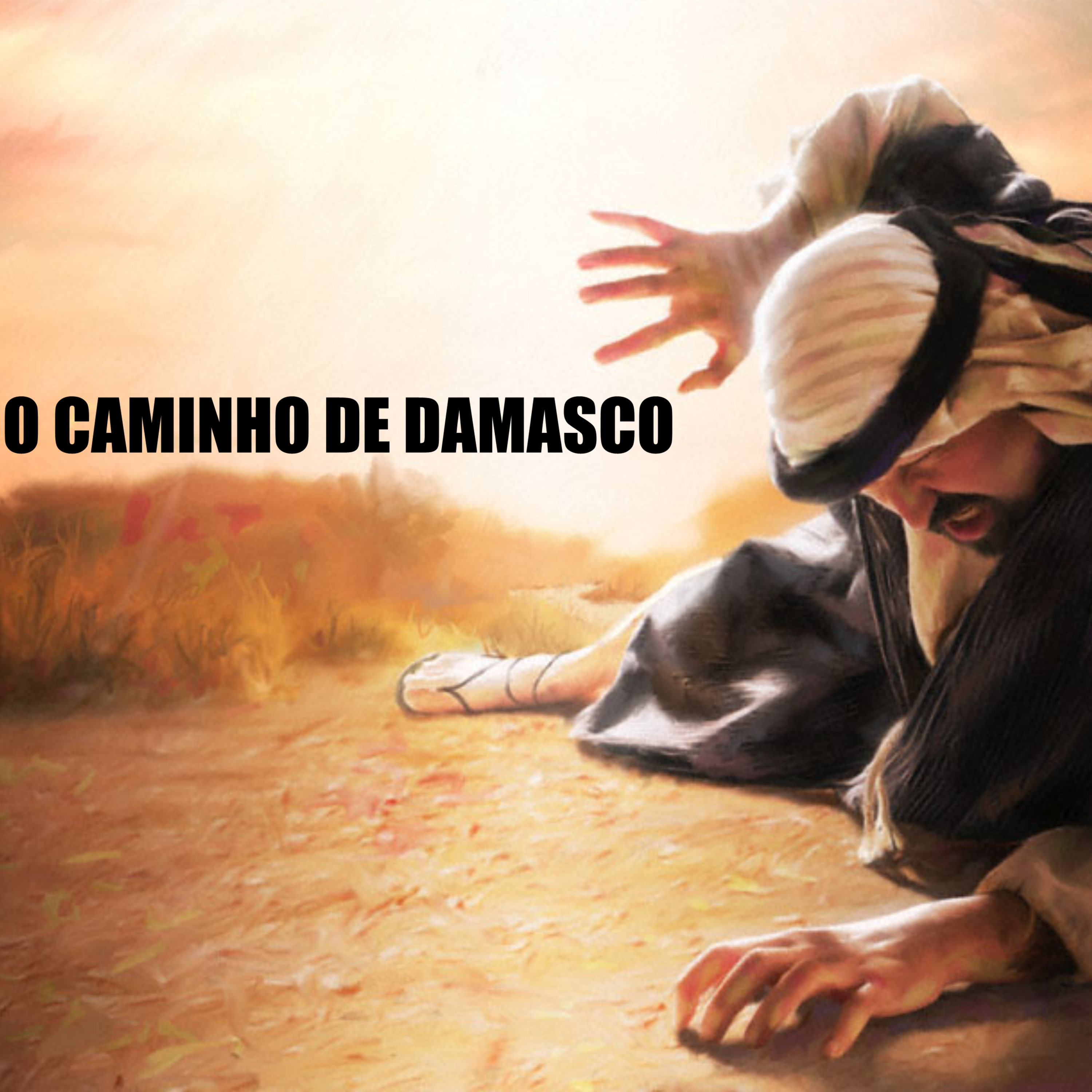 Daniel Martins Silva