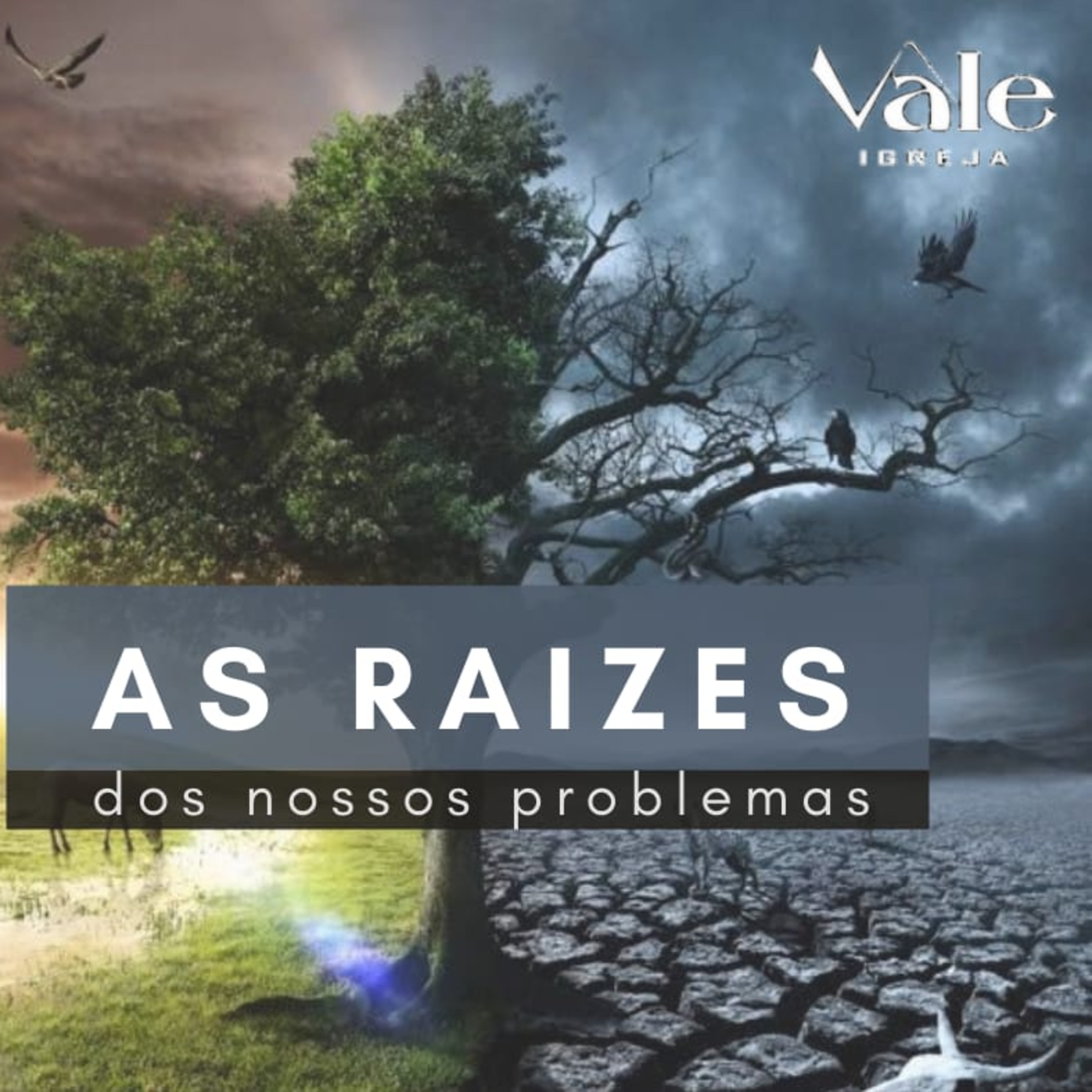 As raízes dos nossos problemas episode artwork