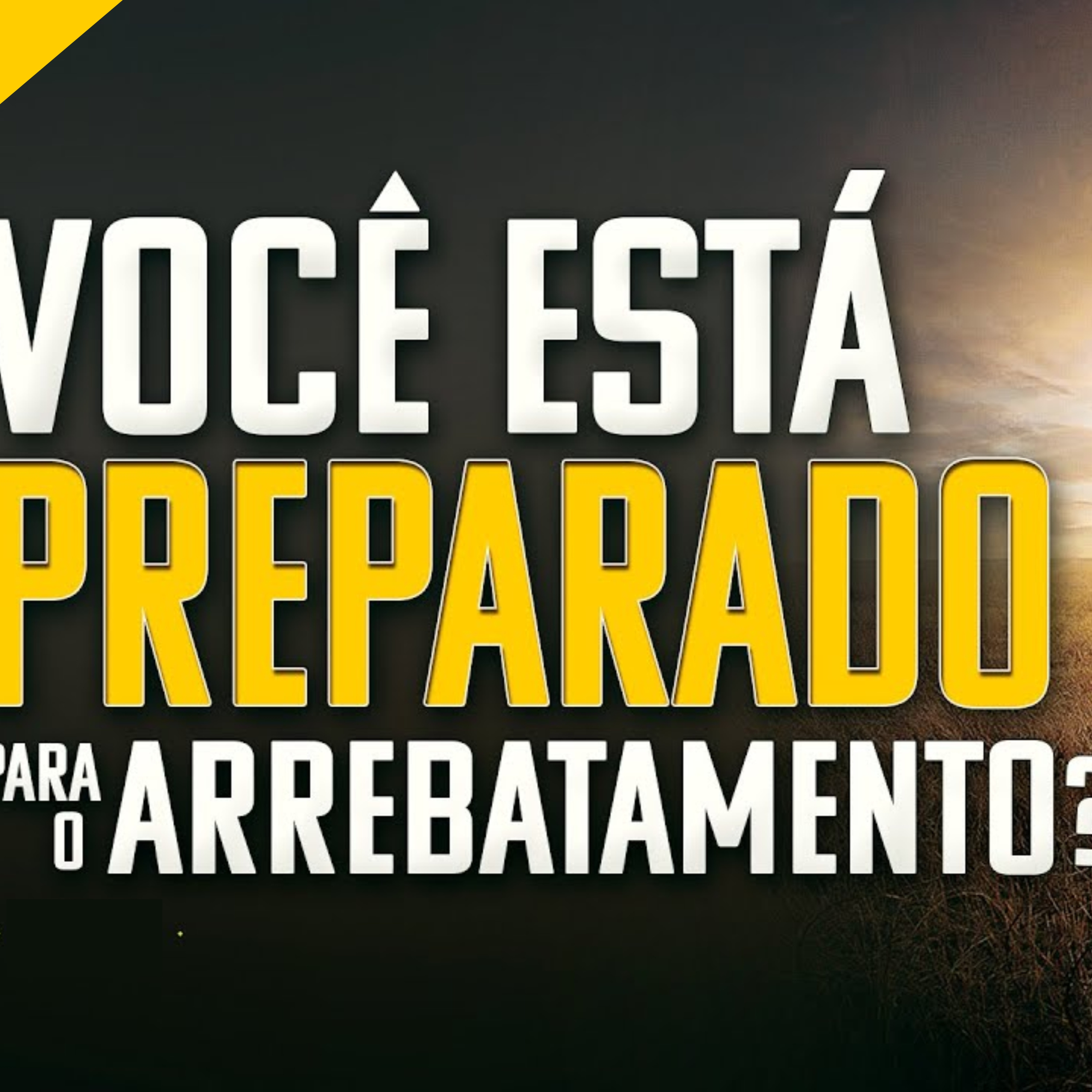 Daniel Martins Silva