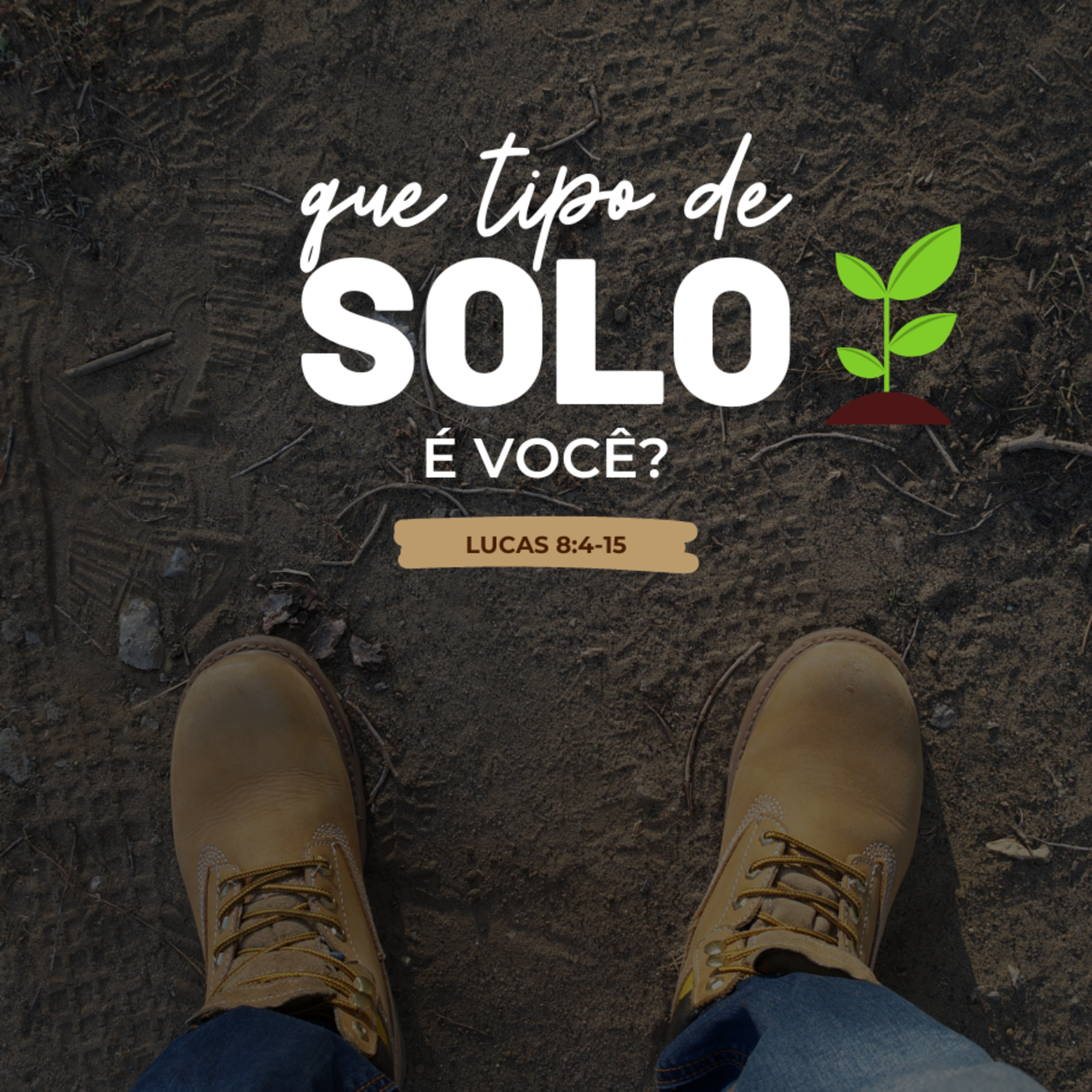 Que tipo de solo é você? episode artwork
