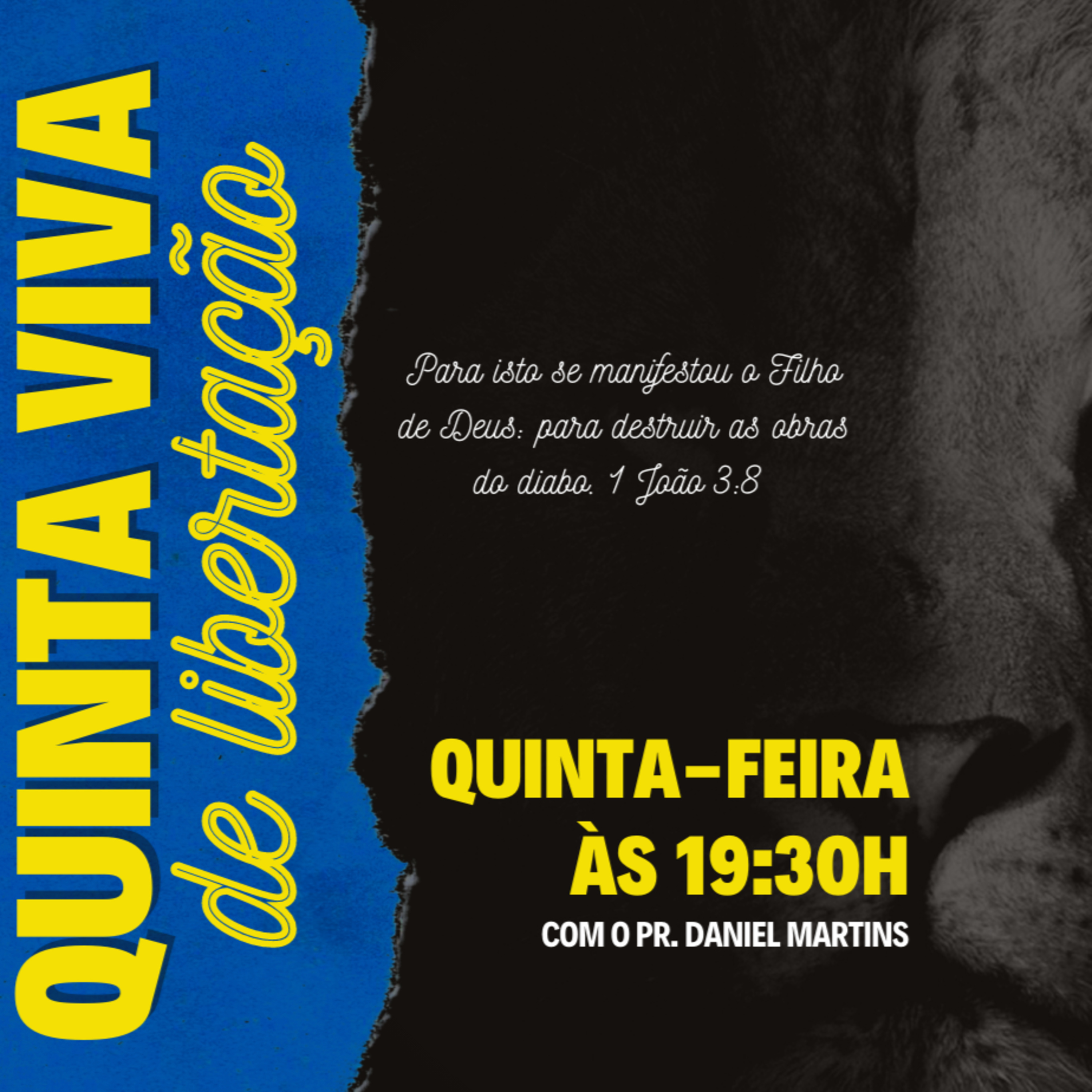 Daniel Martins Silva