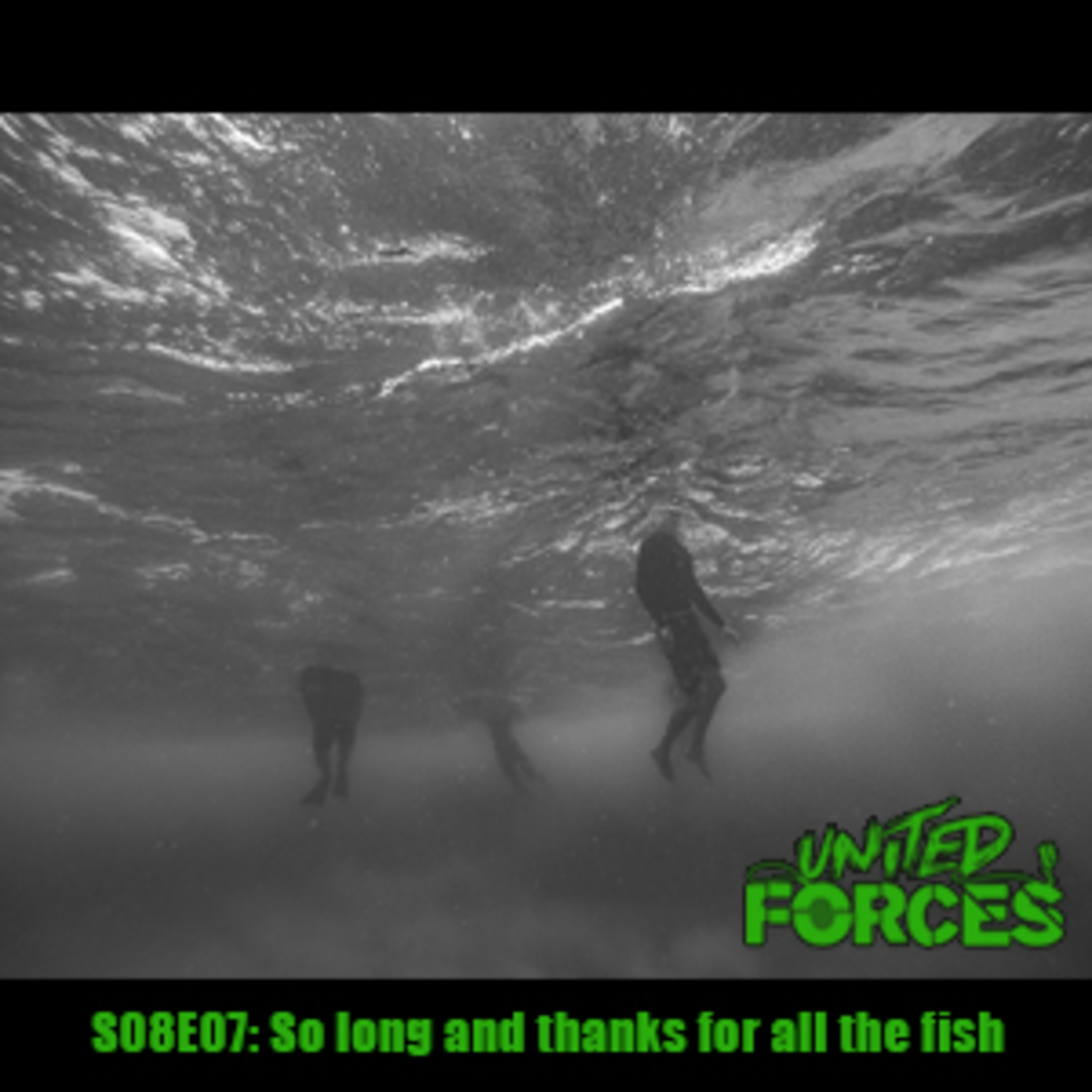 S08 E07: So long and thanks for all the fish episode artwork