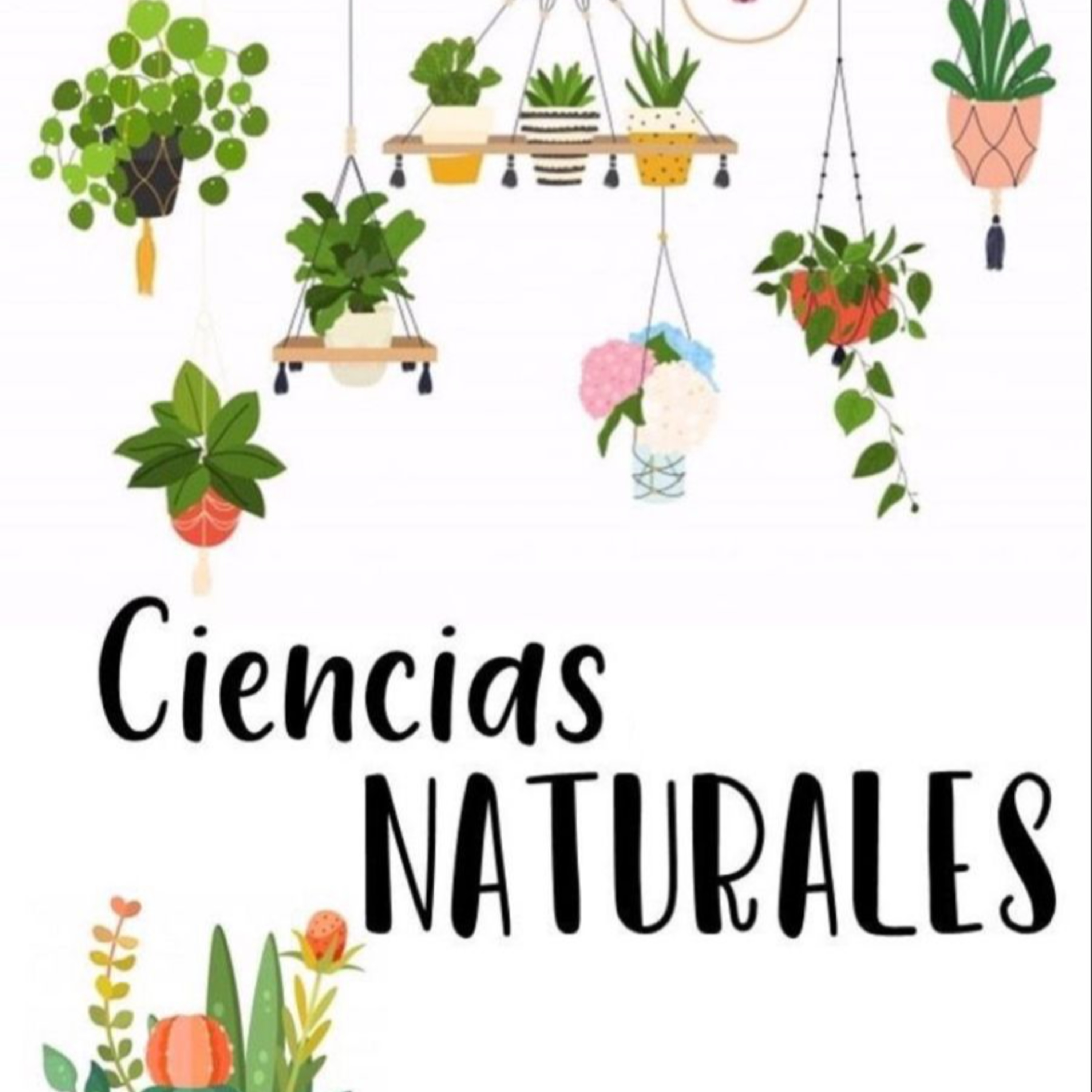 Biomoleculas  episode artwork