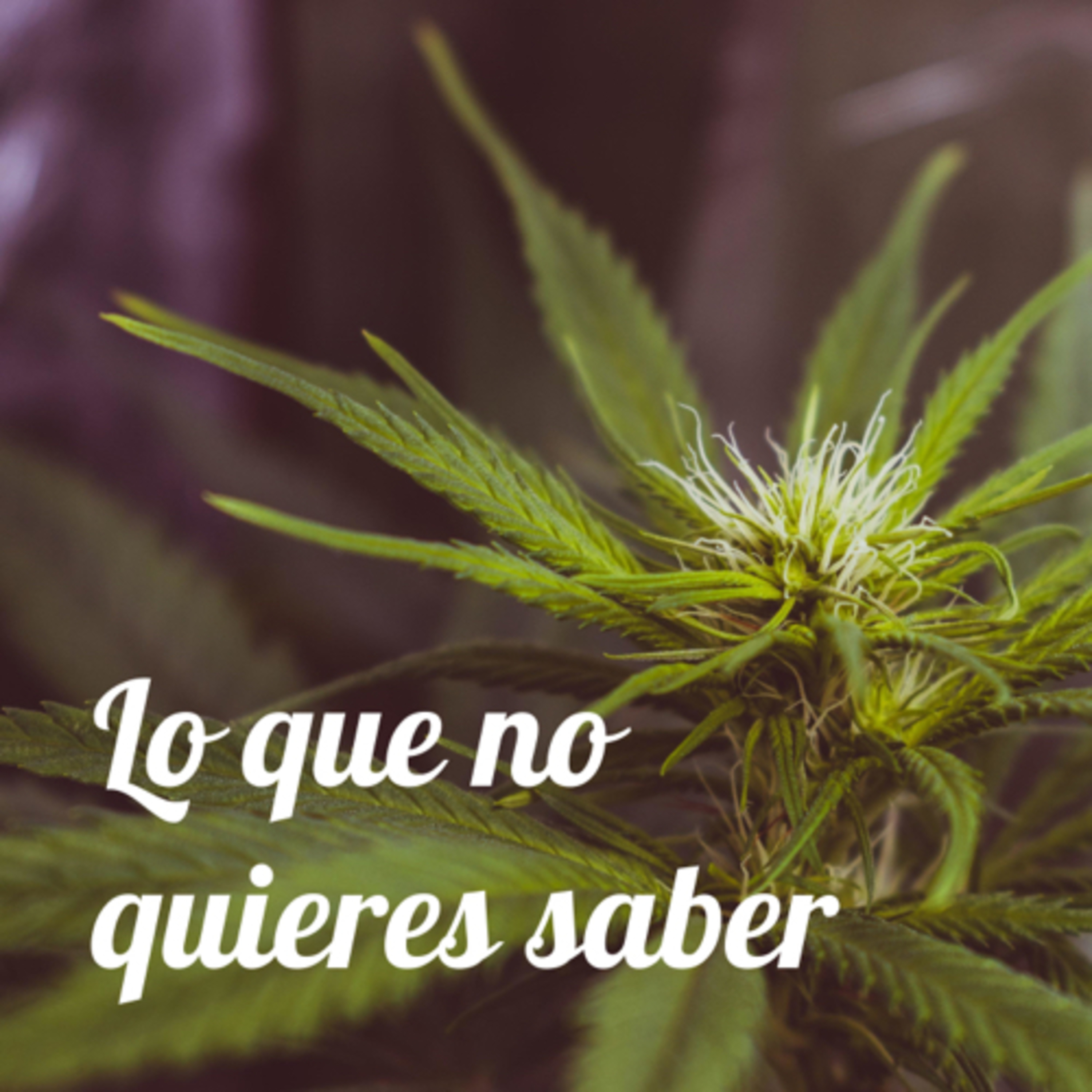 Lo que no quieres saber