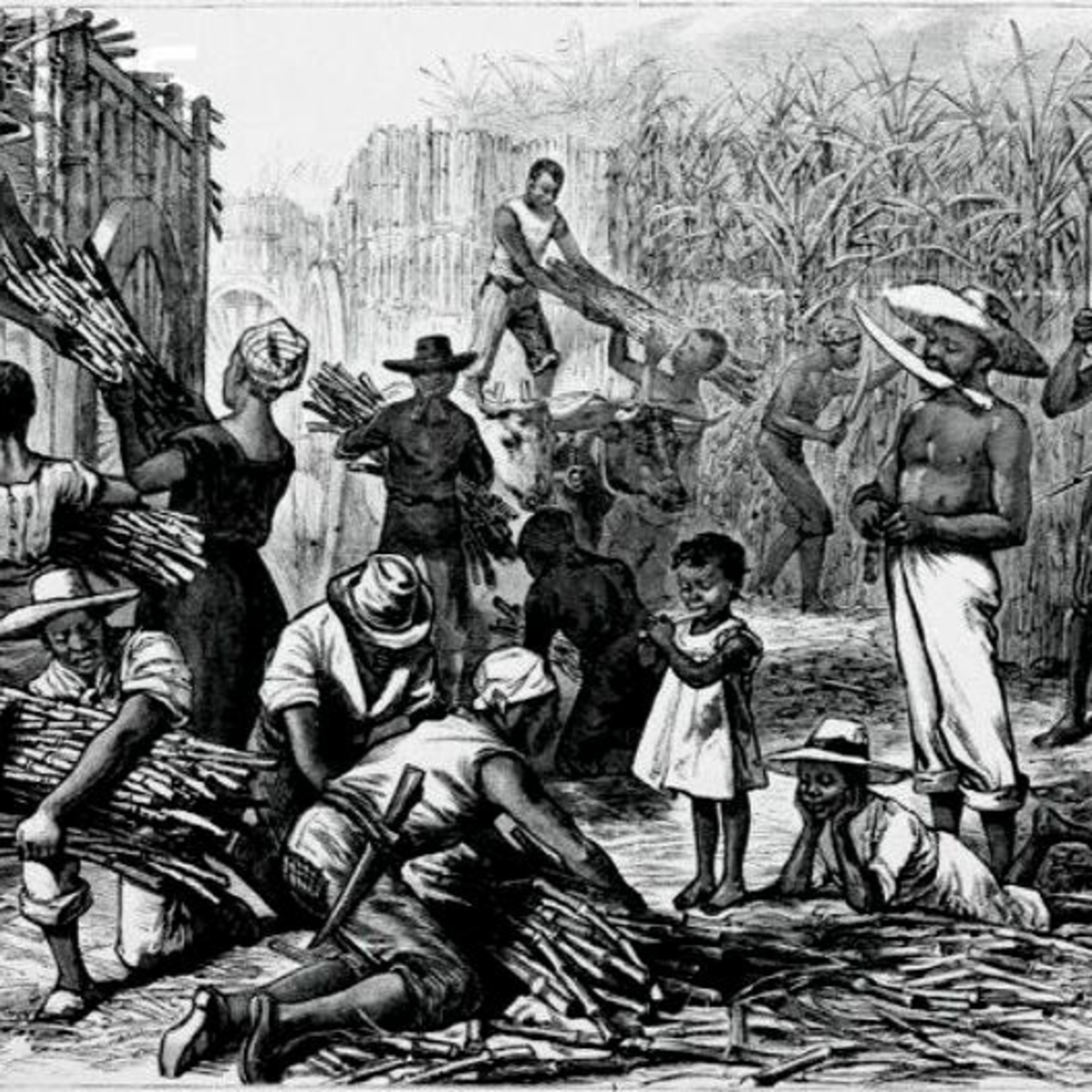 MEMORIA DE LA HABANA