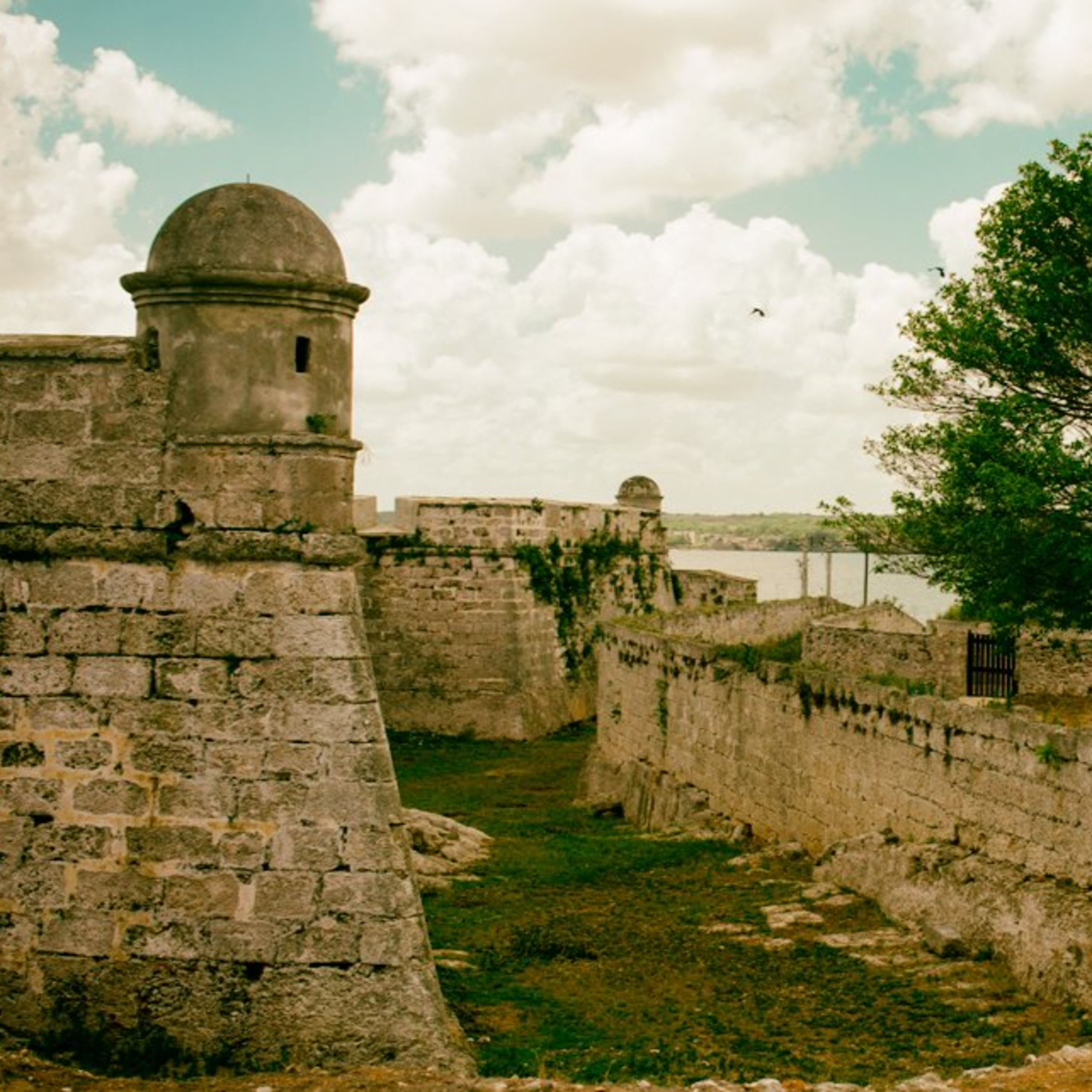 MEMORIA DE LA HABANA