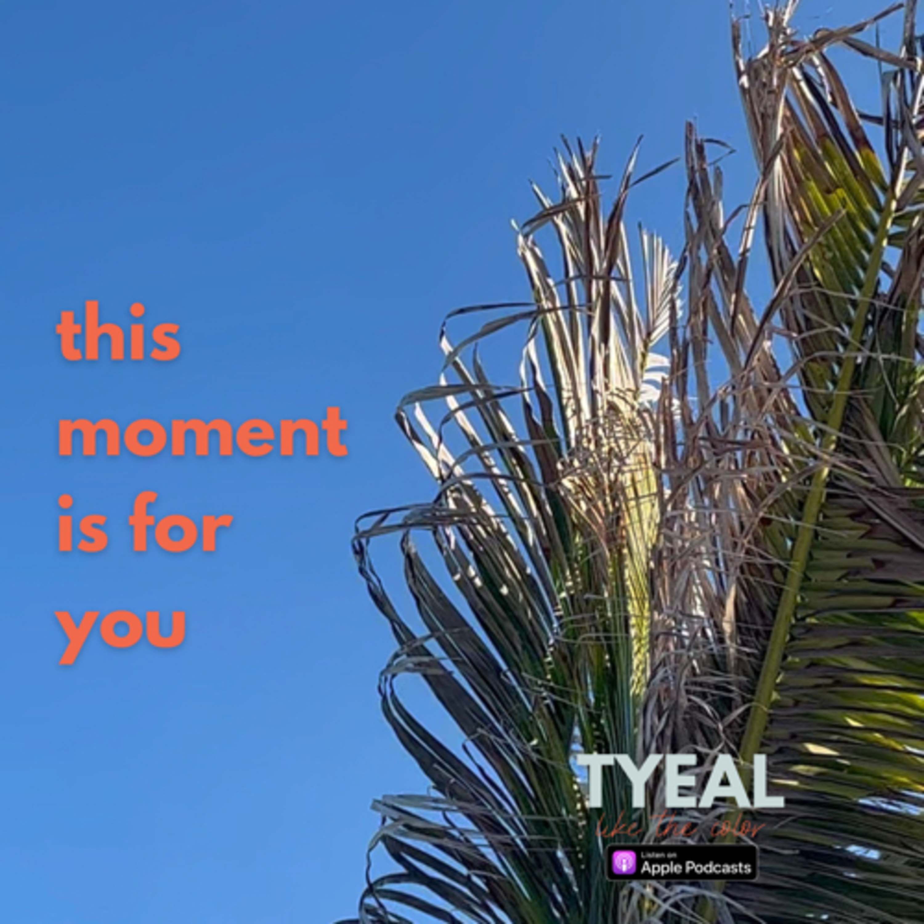 Meditating on This Moment episode artwork