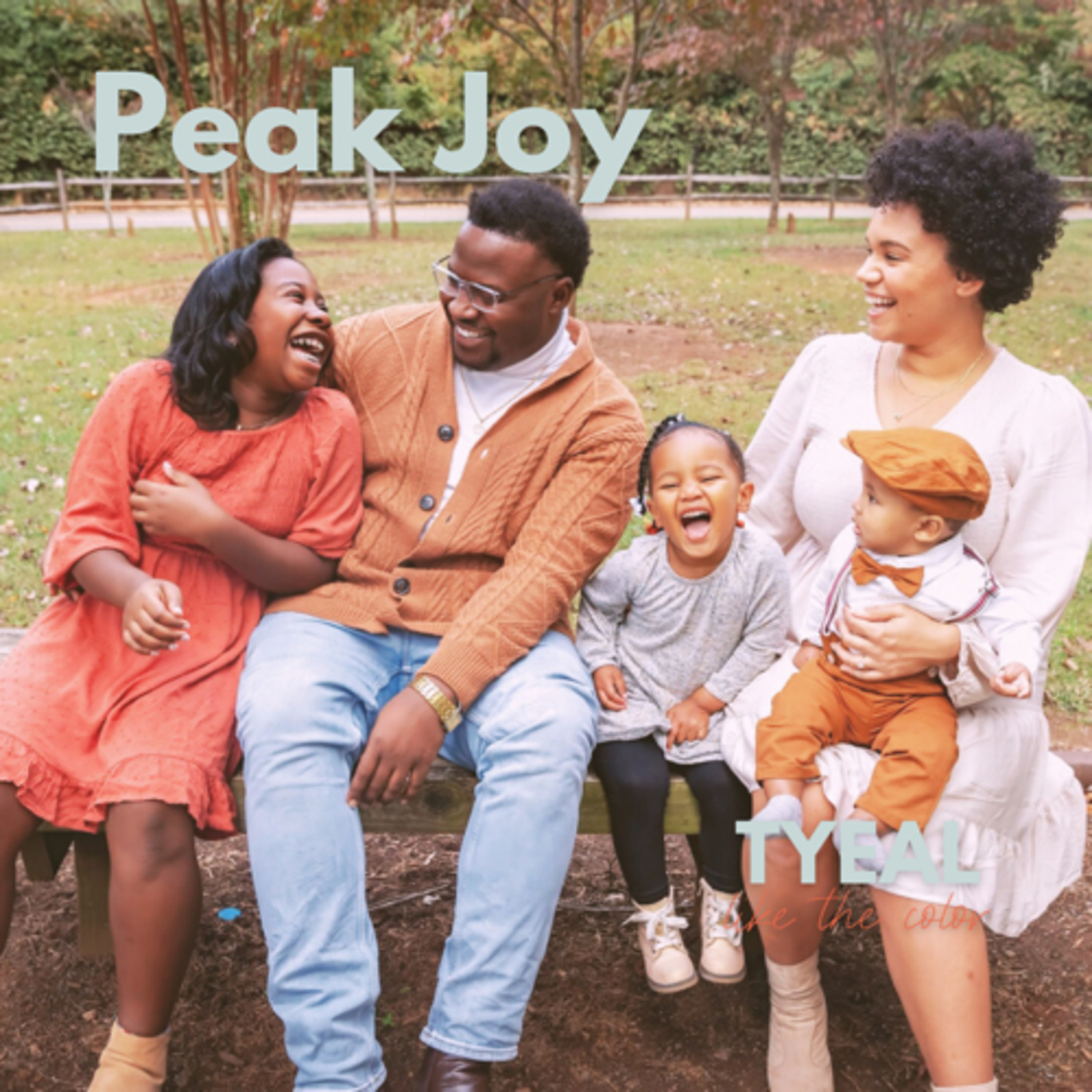 Who Are You at Peak Joy? episode artwork