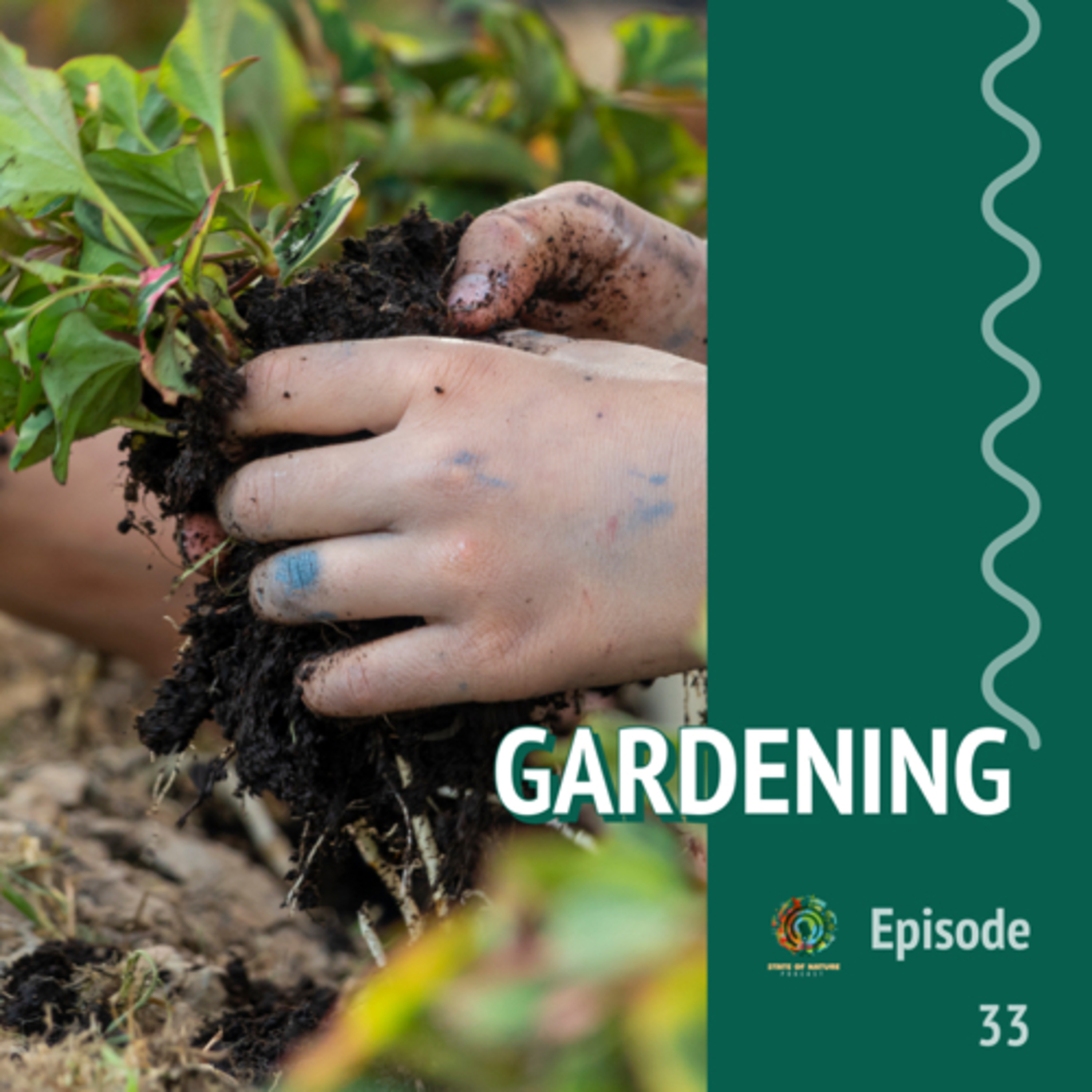 #33 - Gardening | What should you be doing in your garden now?