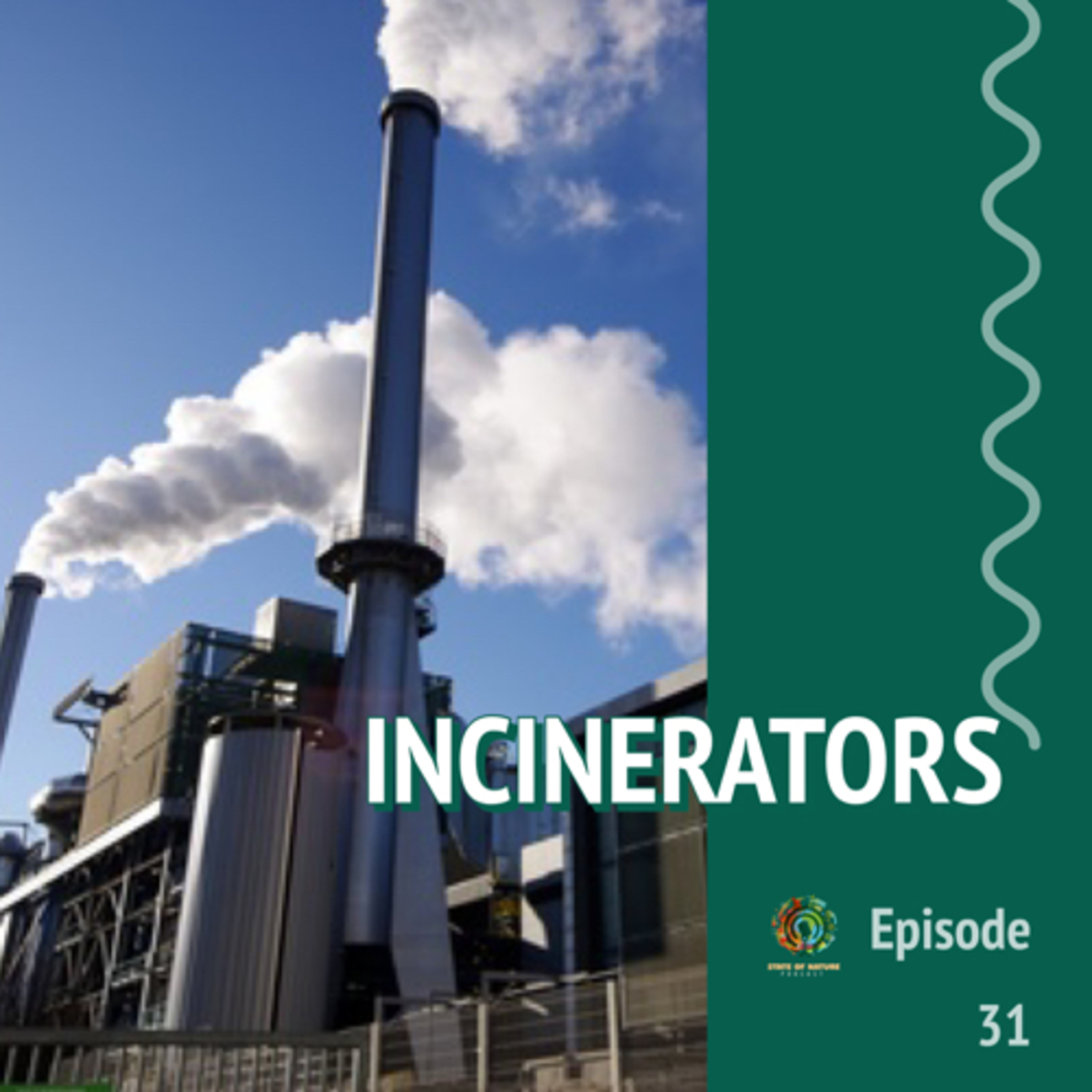 #31 - Incinerators | How are they damaging the planet? episode artwork