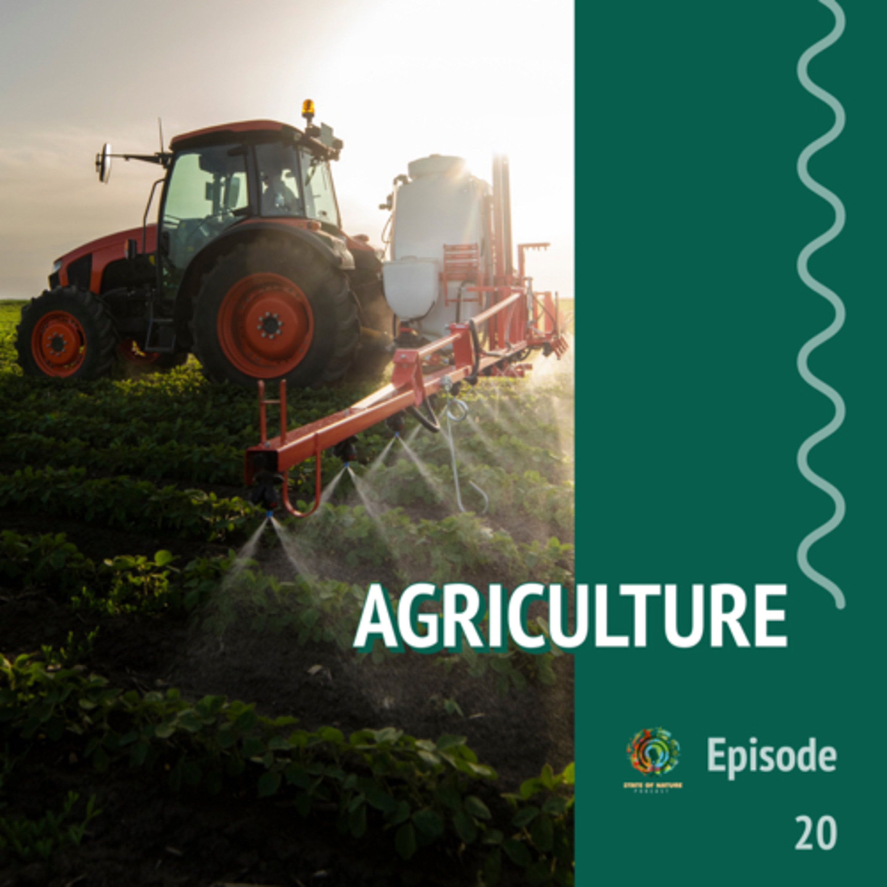 #20- Agriculture with Reimagine agriculture | What is it to do with the planet? episode artwork