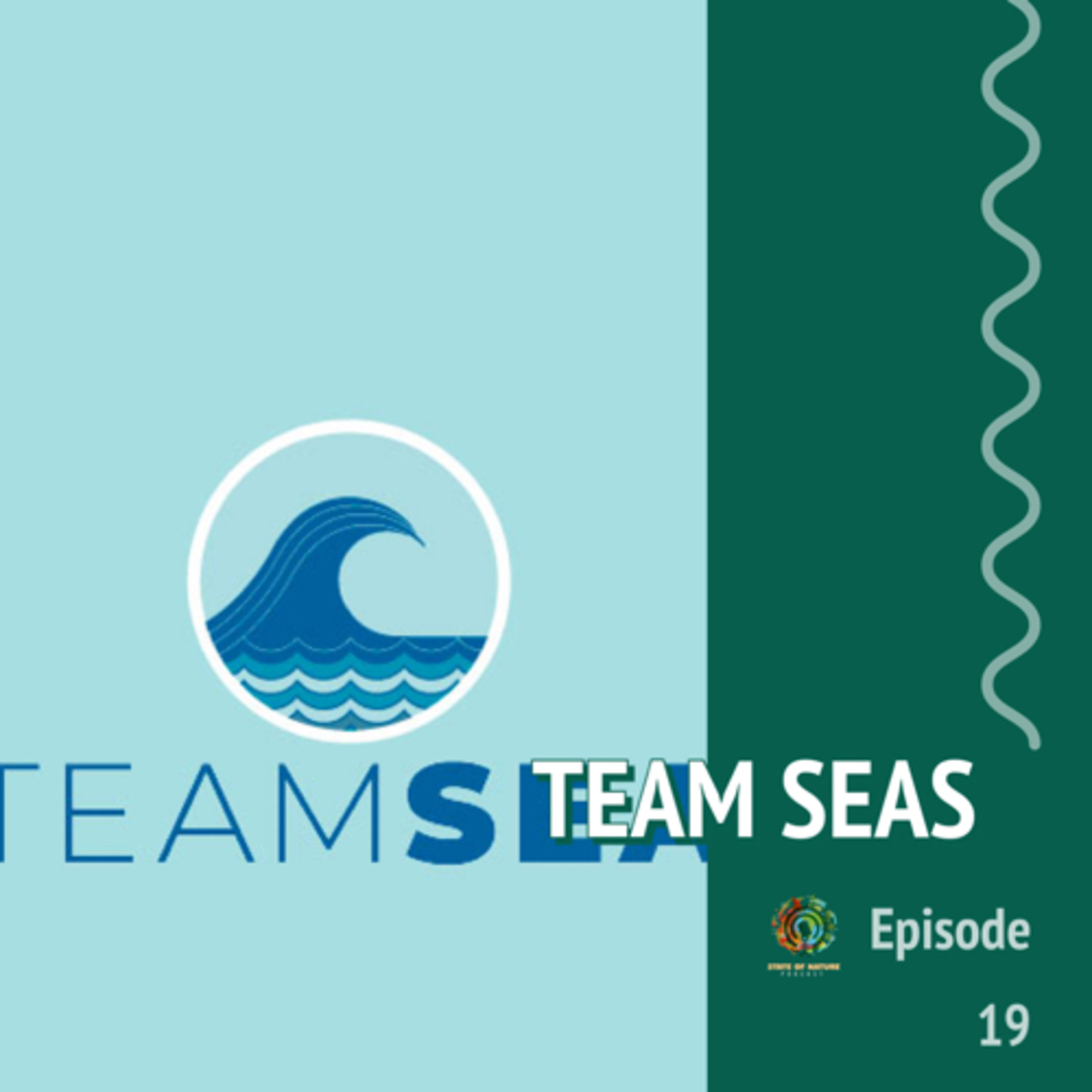 #19 - Team seas | Mr Beast and Mark Rober's new project to save the oceans