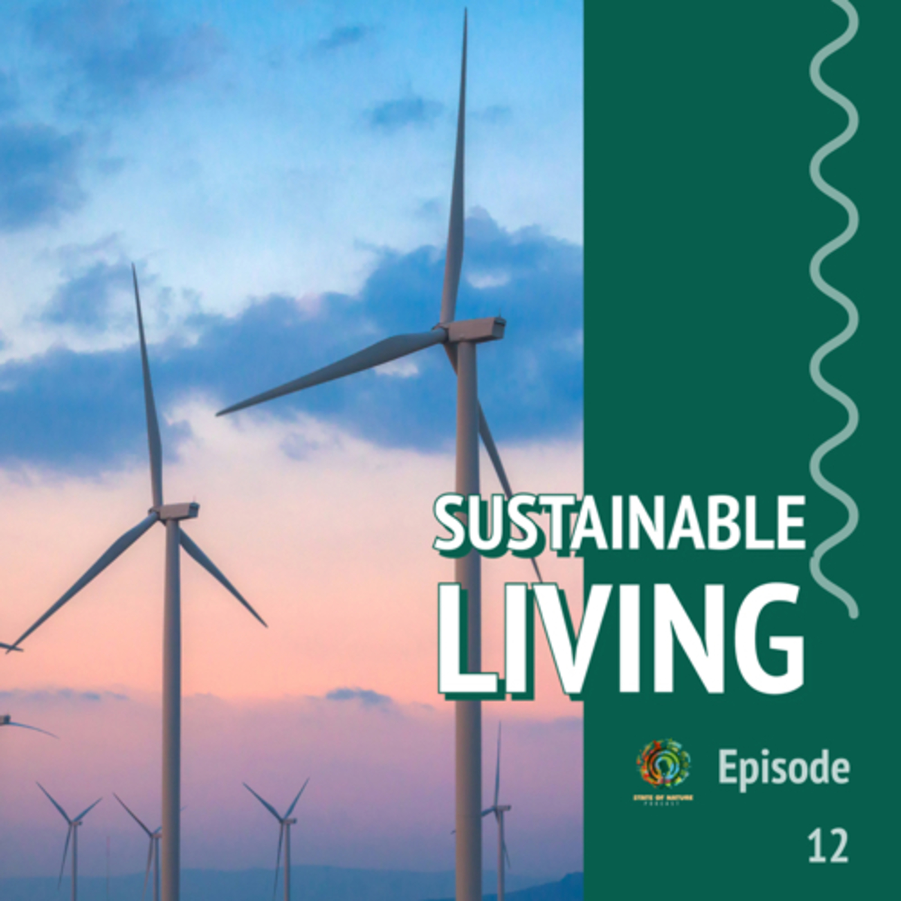  #11 - Sustainable living episode artwork