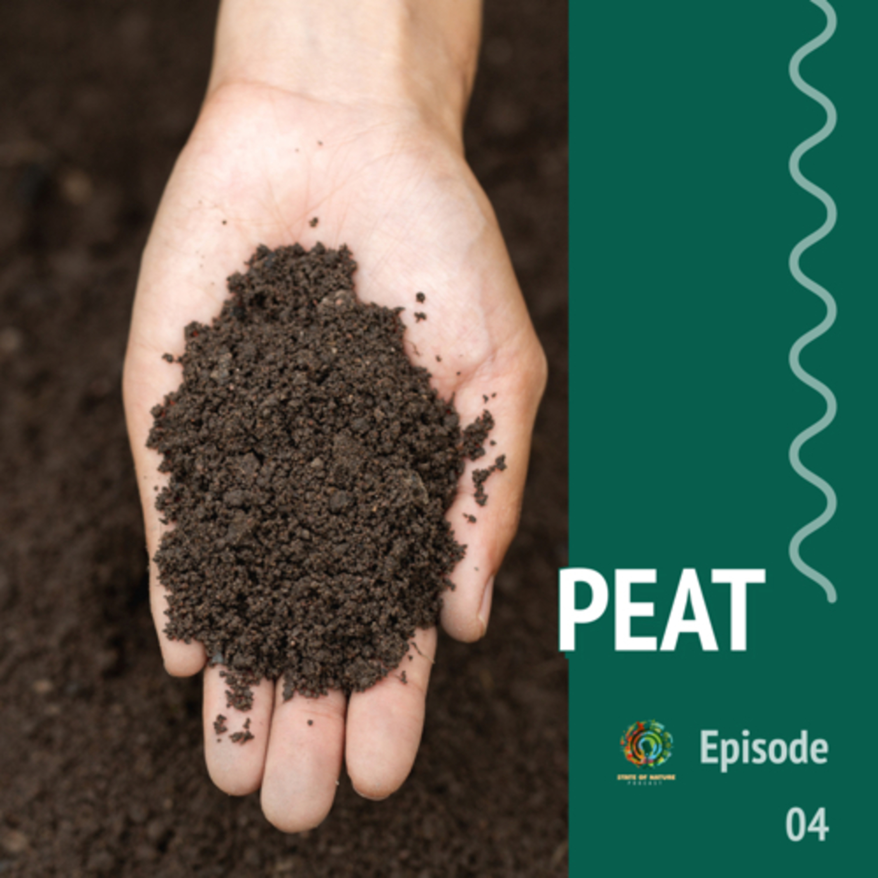 #4 - Peat episode artwork