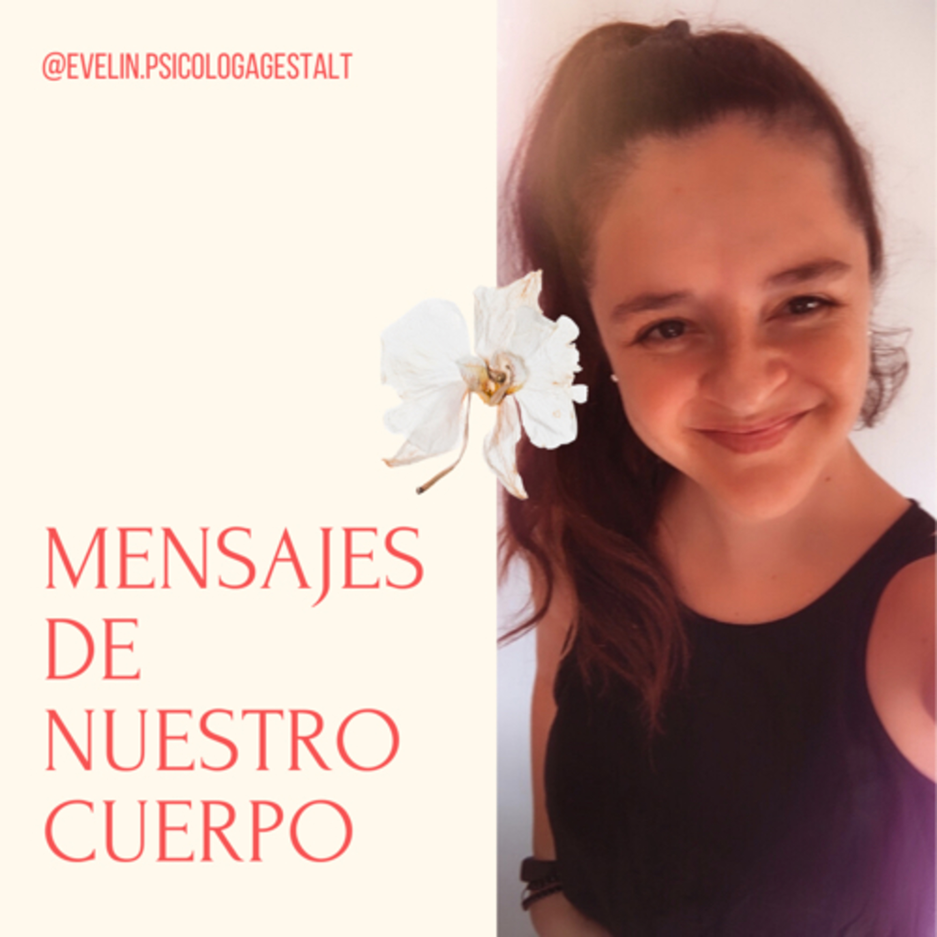 Mensajes del Cuerpo: El Utero.  episode artwork