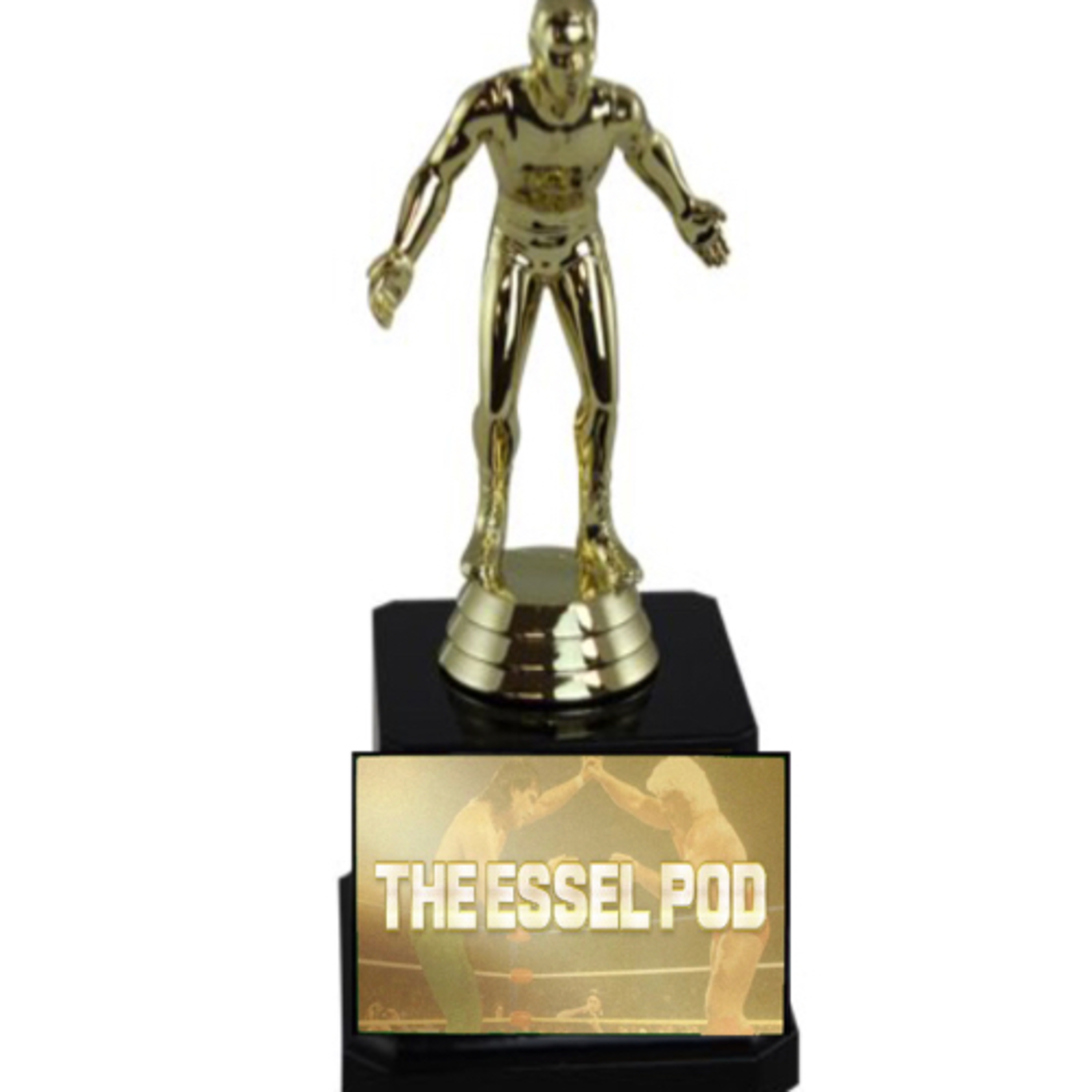The Essel Pod