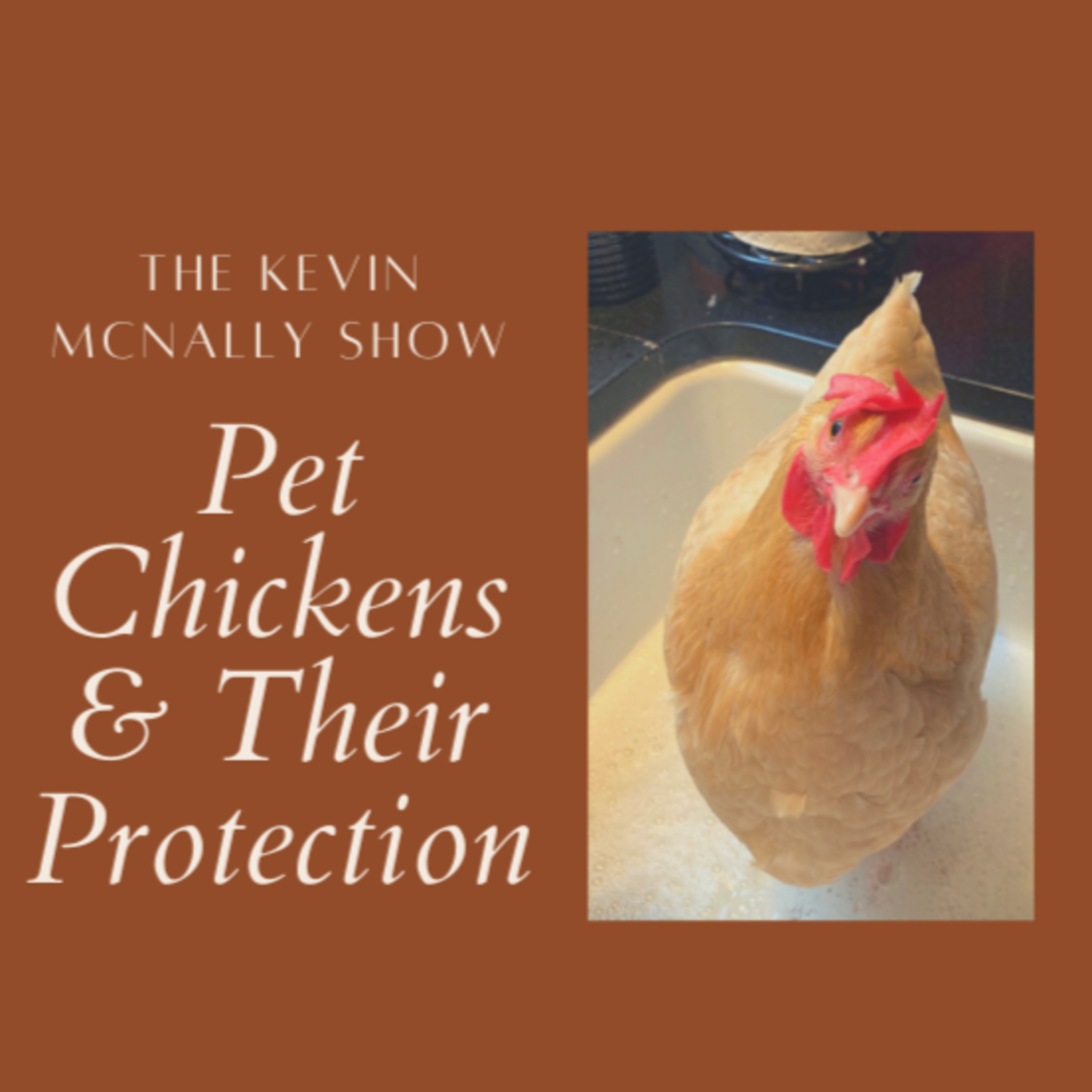 Kev Talks - The Kevin McNally Show - Be Curious