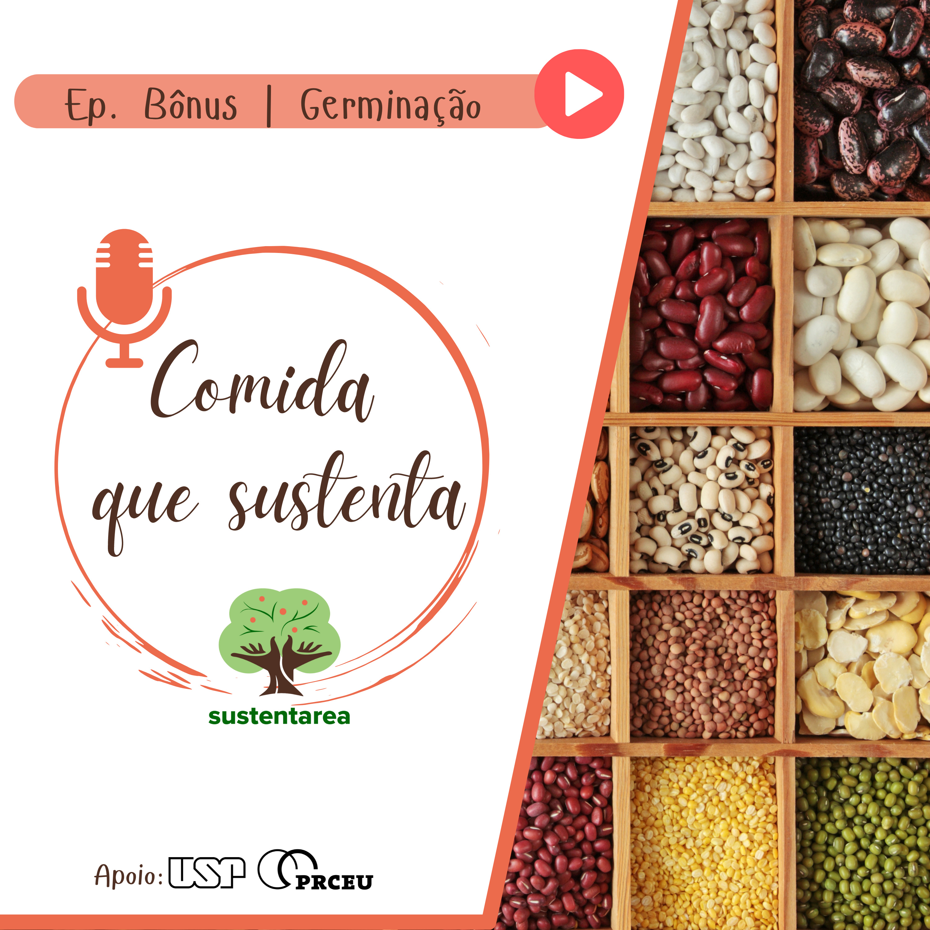 Comida que Sustenta